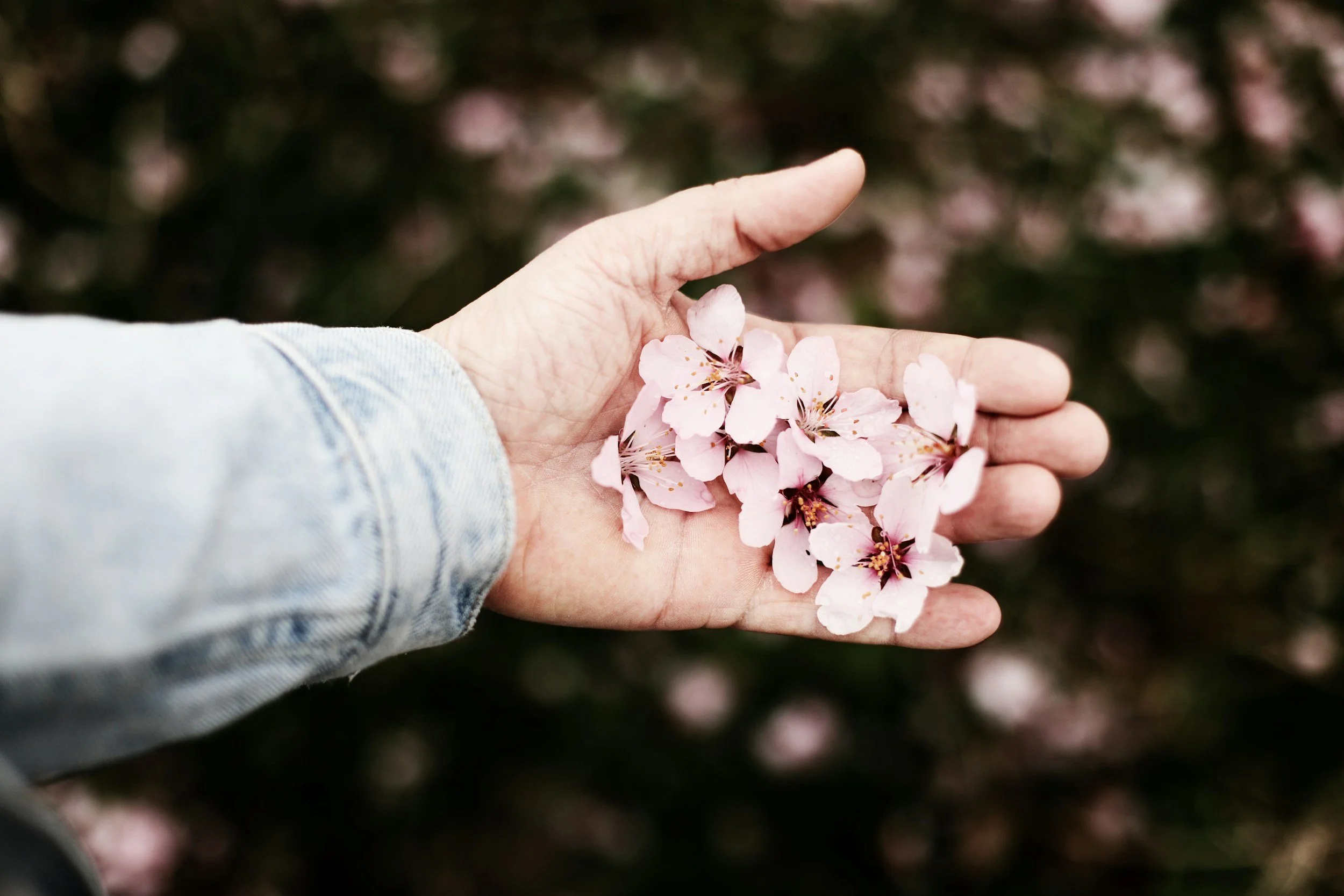 The 3 Phases of Infidelity Therapy That Can Save Your Relationship