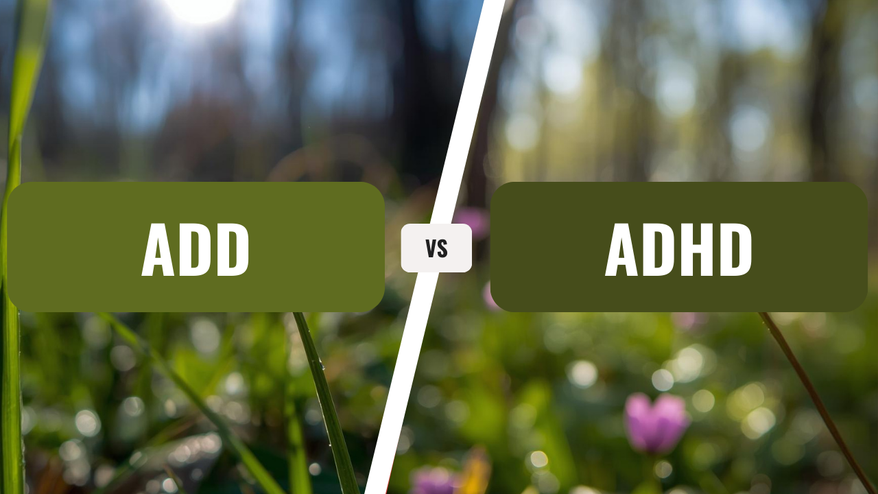 What Is the Difference Between ADD &amp; ADHD?