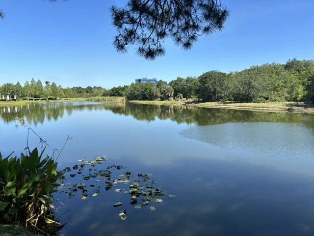 Tour of St. Petersburg therapy office and mental health jobs available