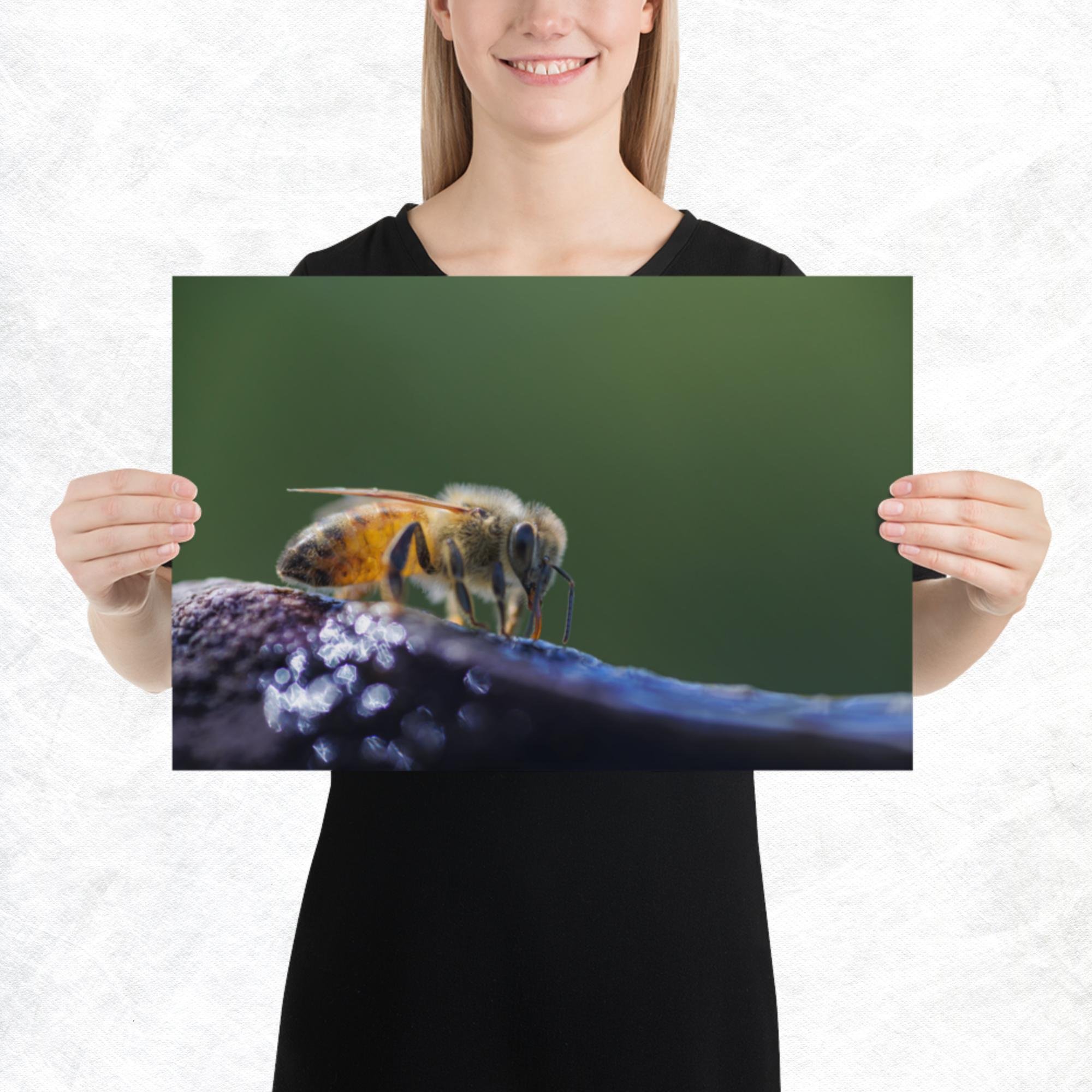 enhanced-matte-paper-poster-(in)-12x18-person-62a91c9f0b36e.jpg