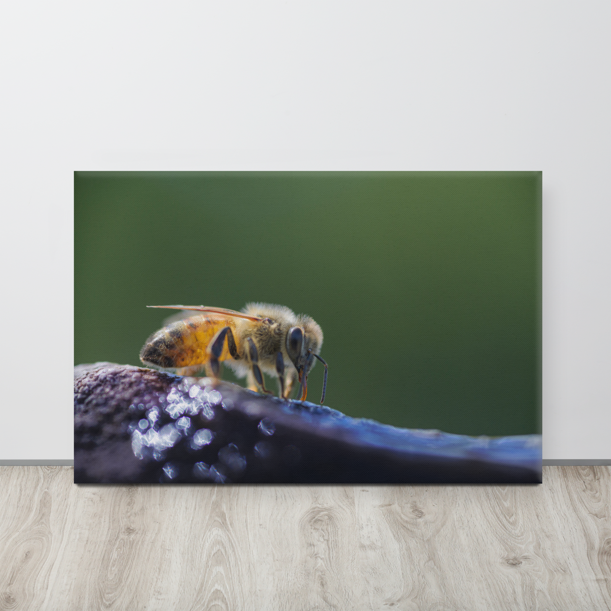canvas-(in)-24x36-front-62aa8c663d9e9.png
