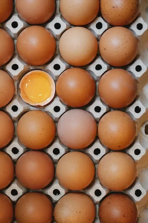 EGG-LYMPICS
