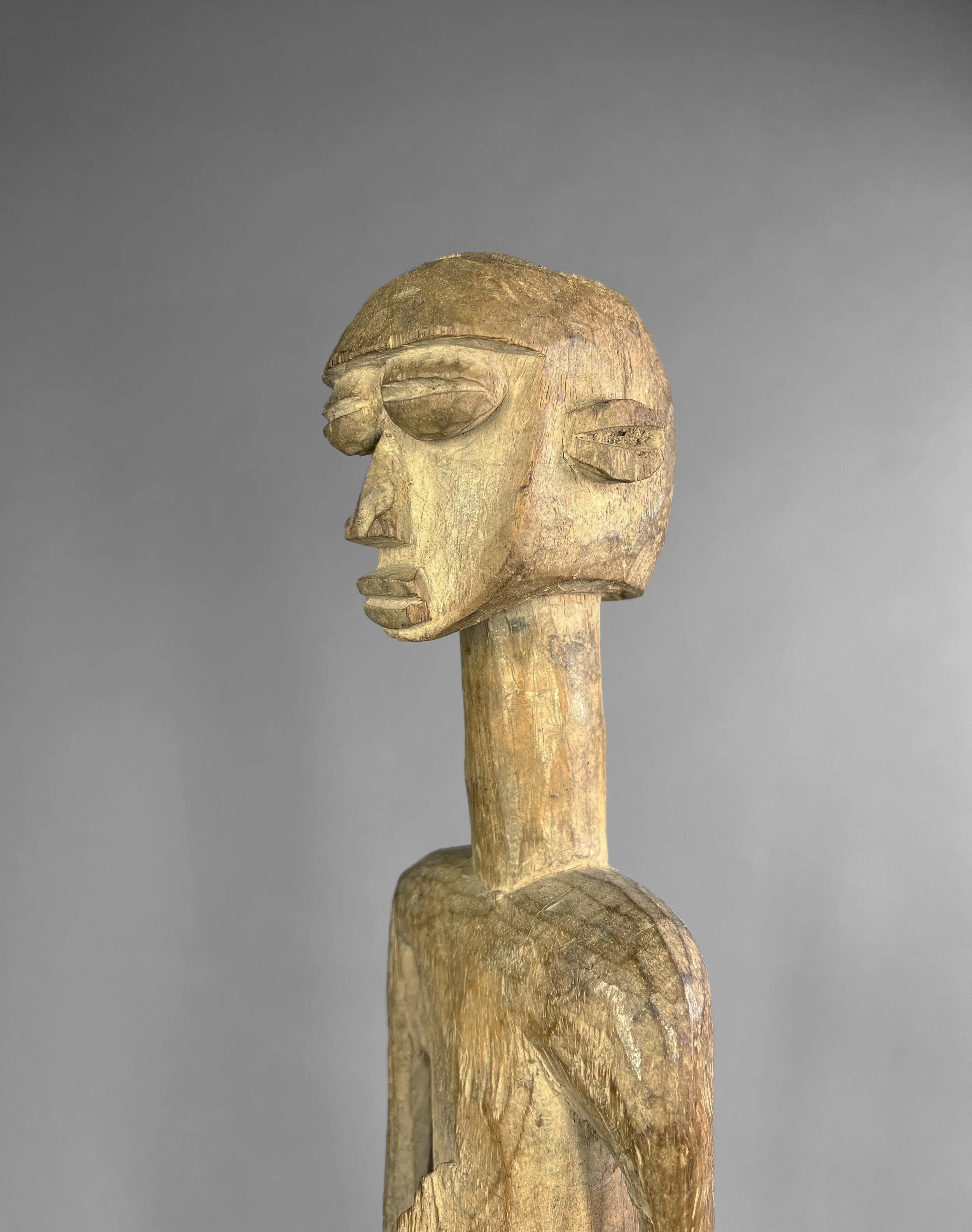 LobiFigure1 (4).jpeg