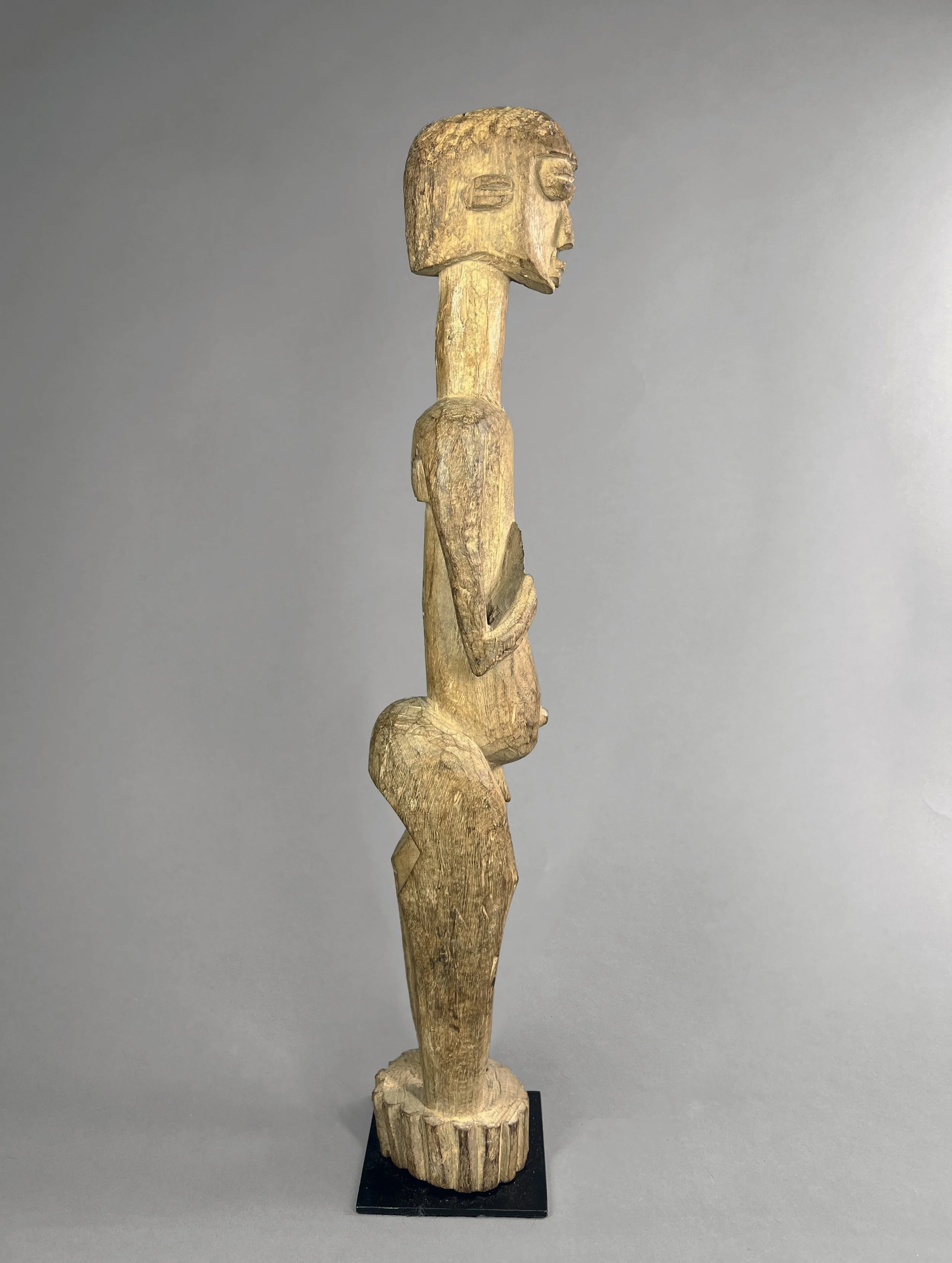 LobiFigure1 (5).jpeg