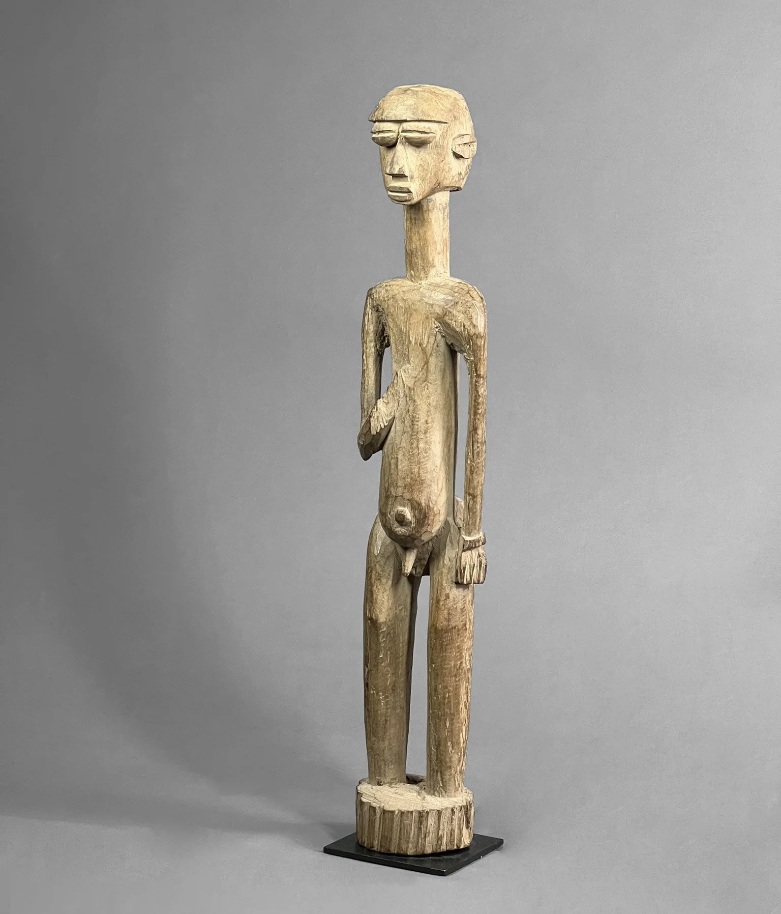 LobiFigure1 (1).JPEG