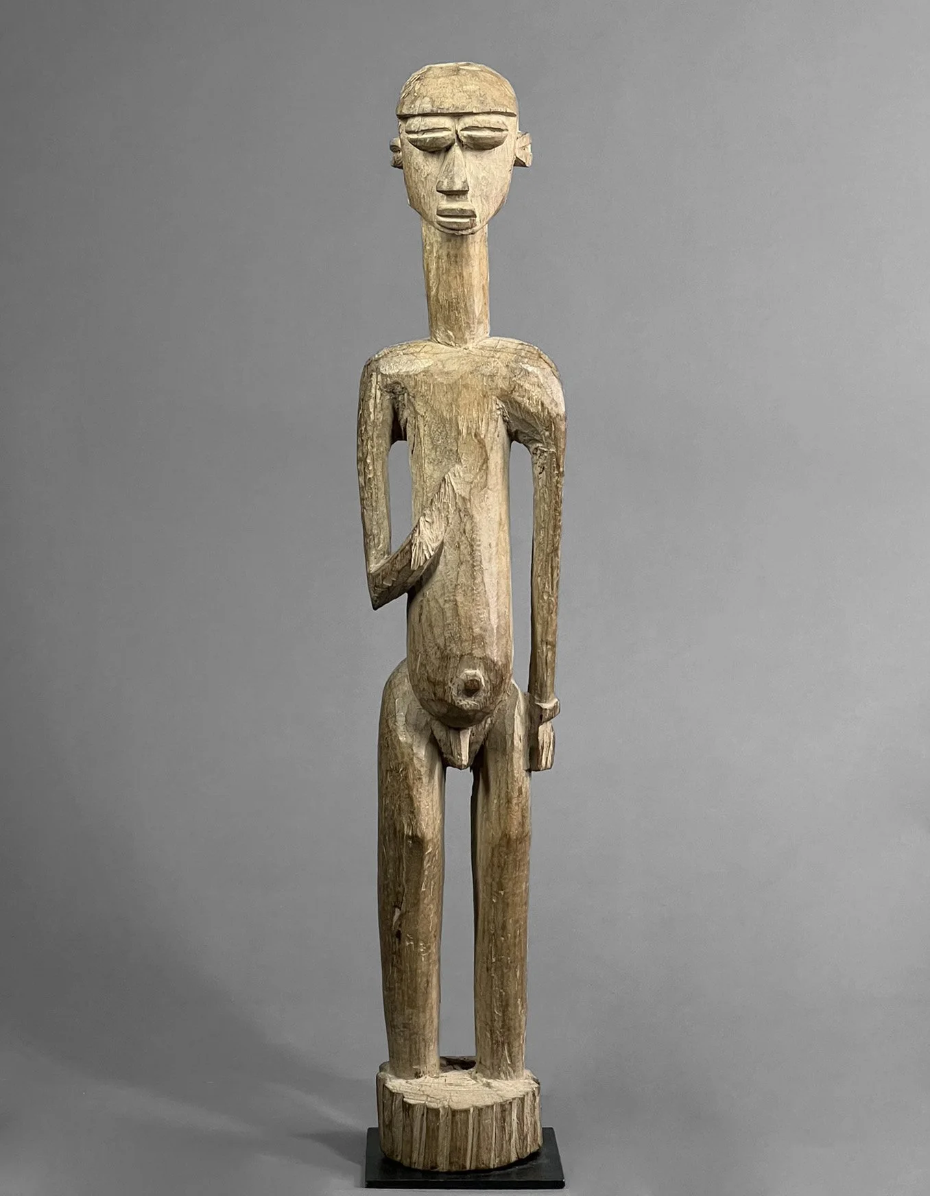 LobiFigure1 (8).JPEG