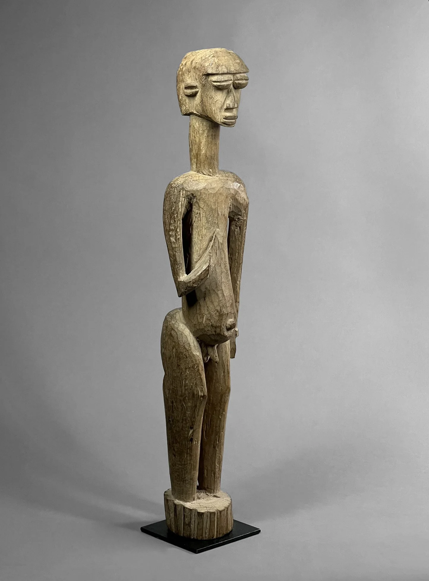 LobiFigure1 (7).JPEG