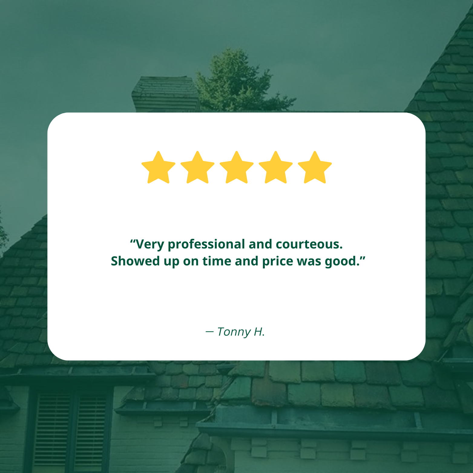 Five-star review with text: "Very professional and courteous. Showed up on time and price was good." Attributed to Tonny H., with a background of rooftops and trees.