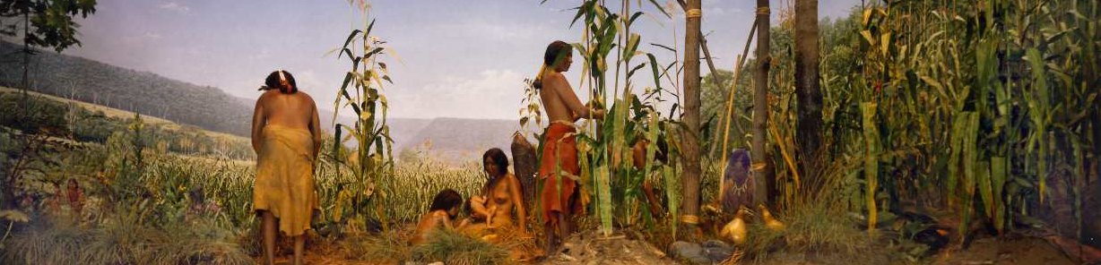 Recent Archaeological Research on First Peoples of the New York Region 