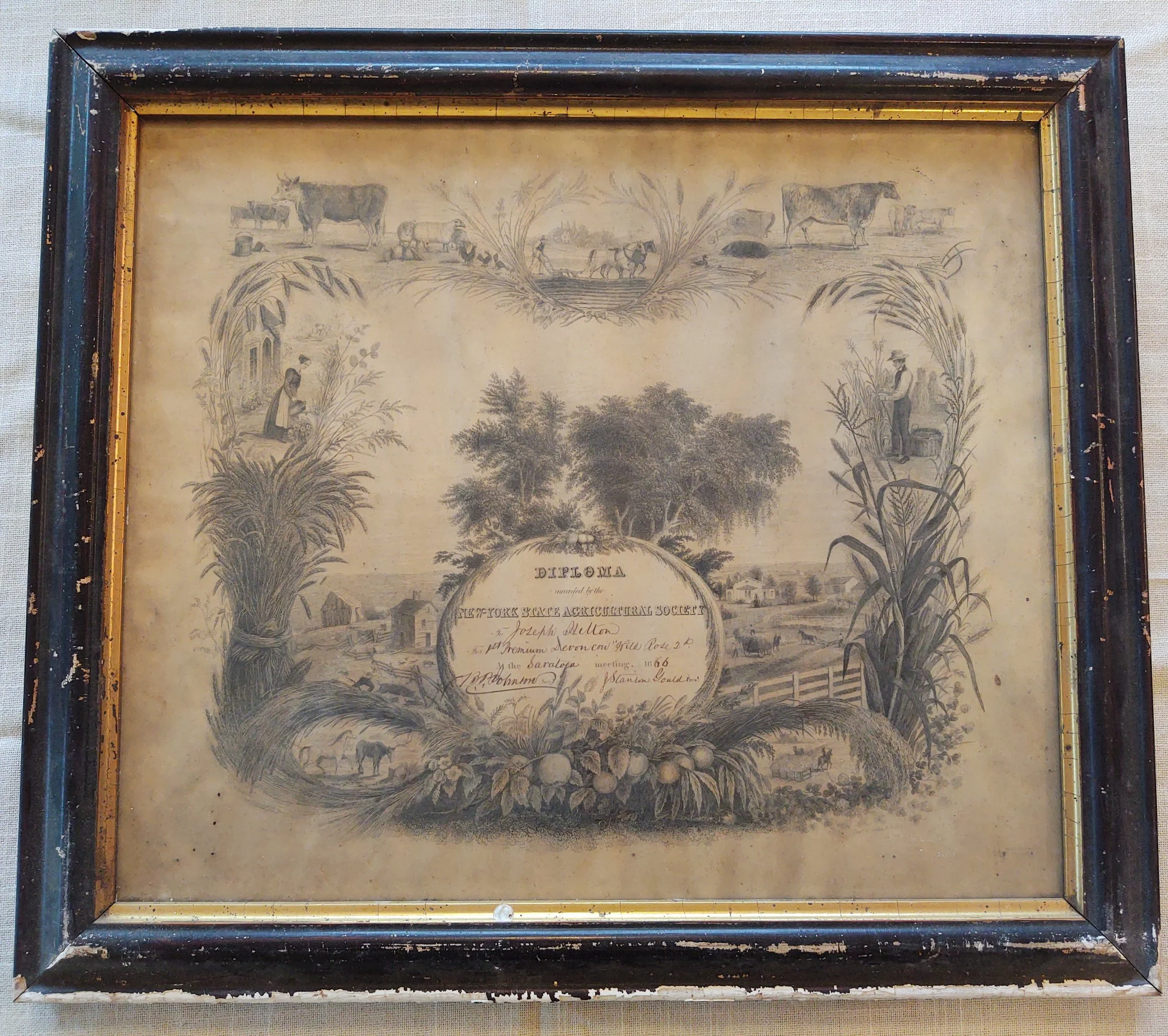Hilton_Joseph_NYSAgSoc1866.jpg