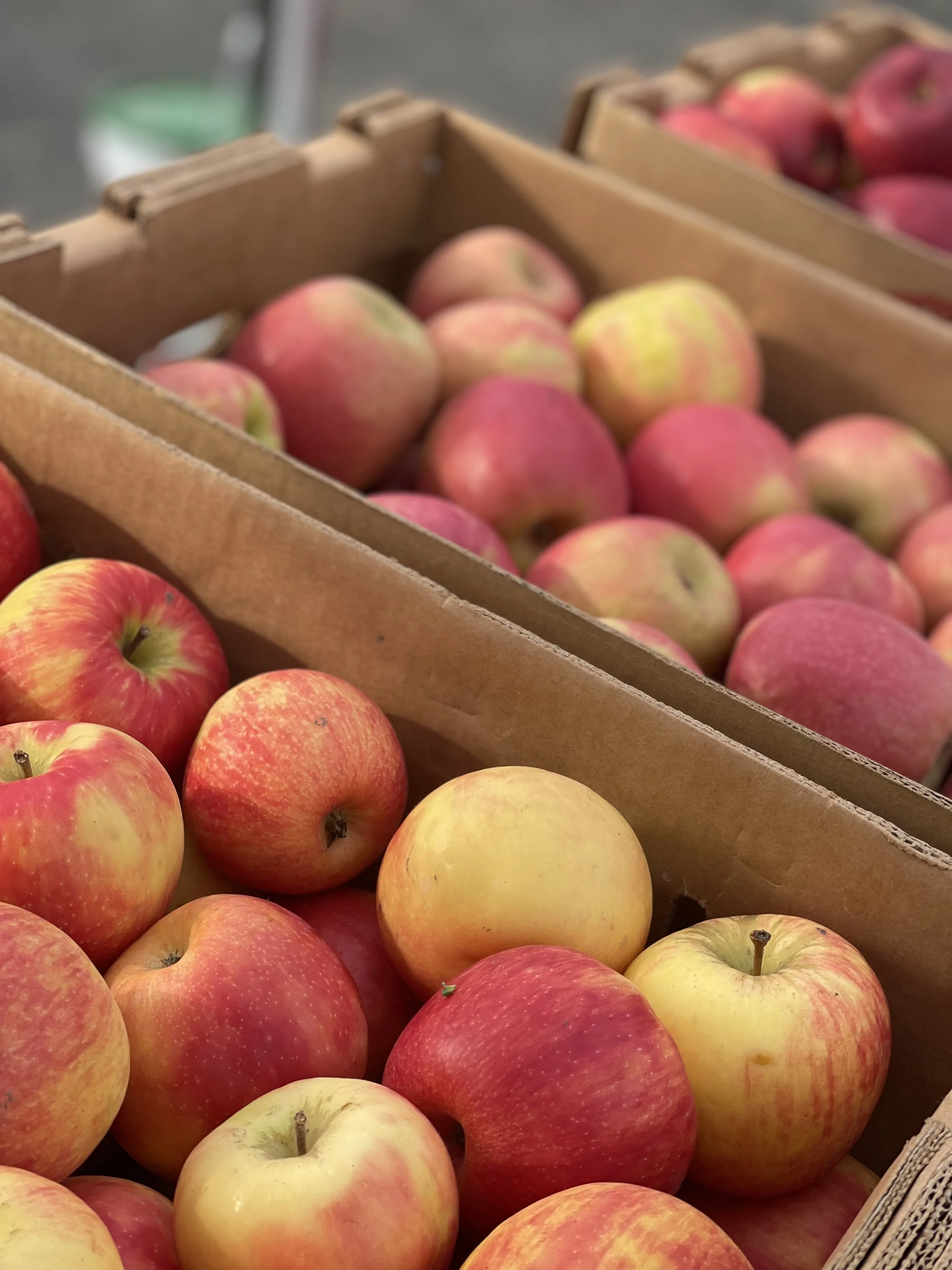 Photo May 22, 8 07 53 AM.jpg