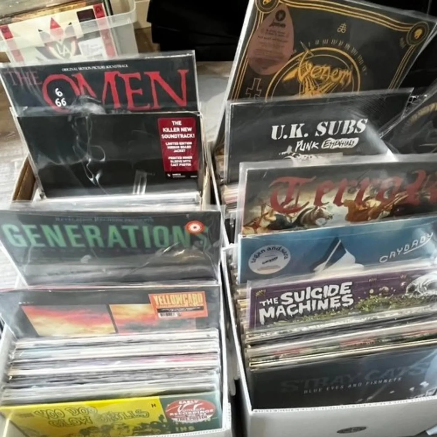 ☆DEALER SPOTLIGHT☆
DAVE CAMBPELL / STATE OF MIND RECORDINGS

&bull; MARCH 15 2026 &bull;
Field House: Garden City Record Show

State of Mind Recordings will be bringing thousands of brand new records (no used) and reasonably priced. Punk / Metal / Ha