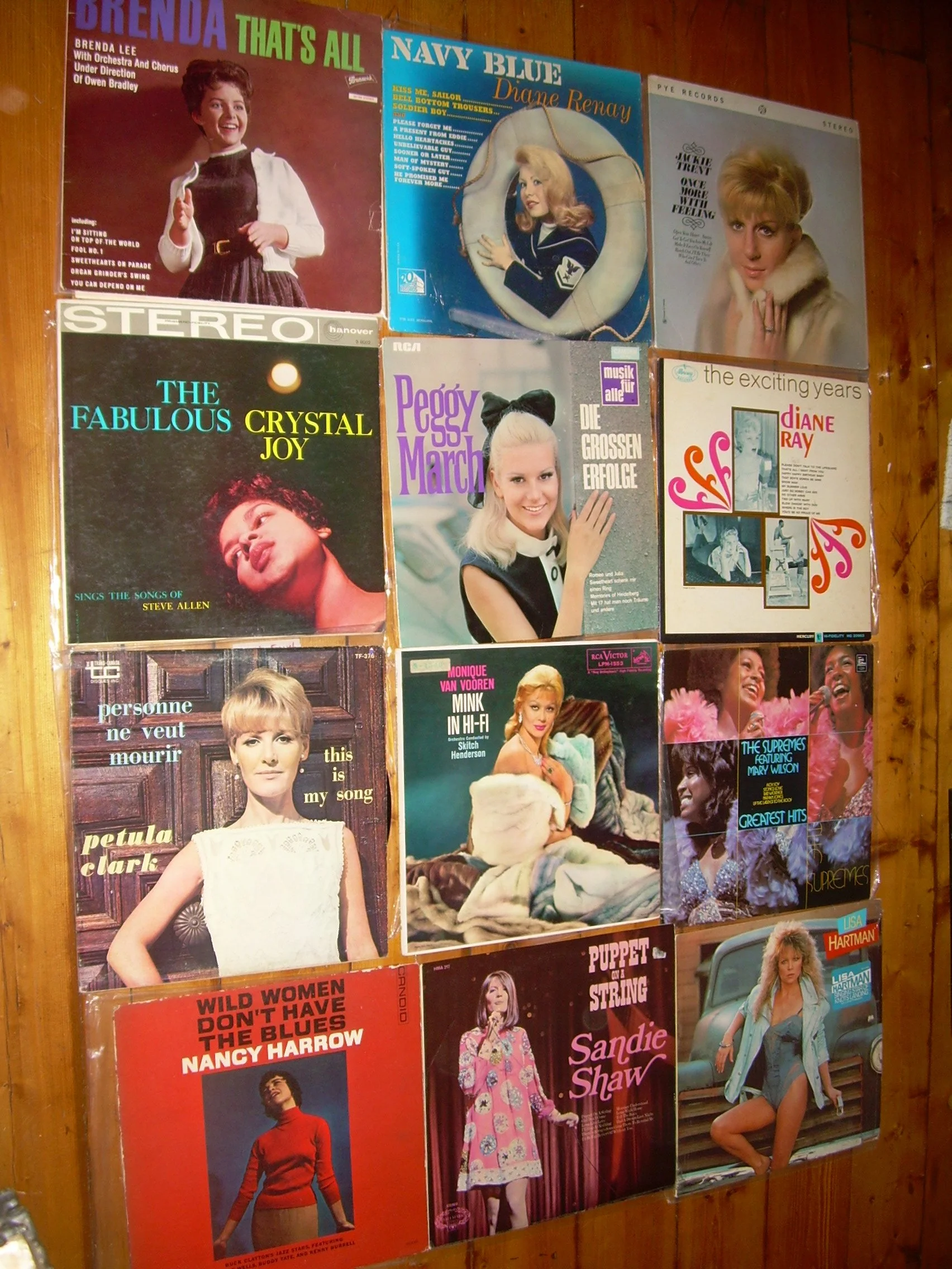 Female Vocals.JPG