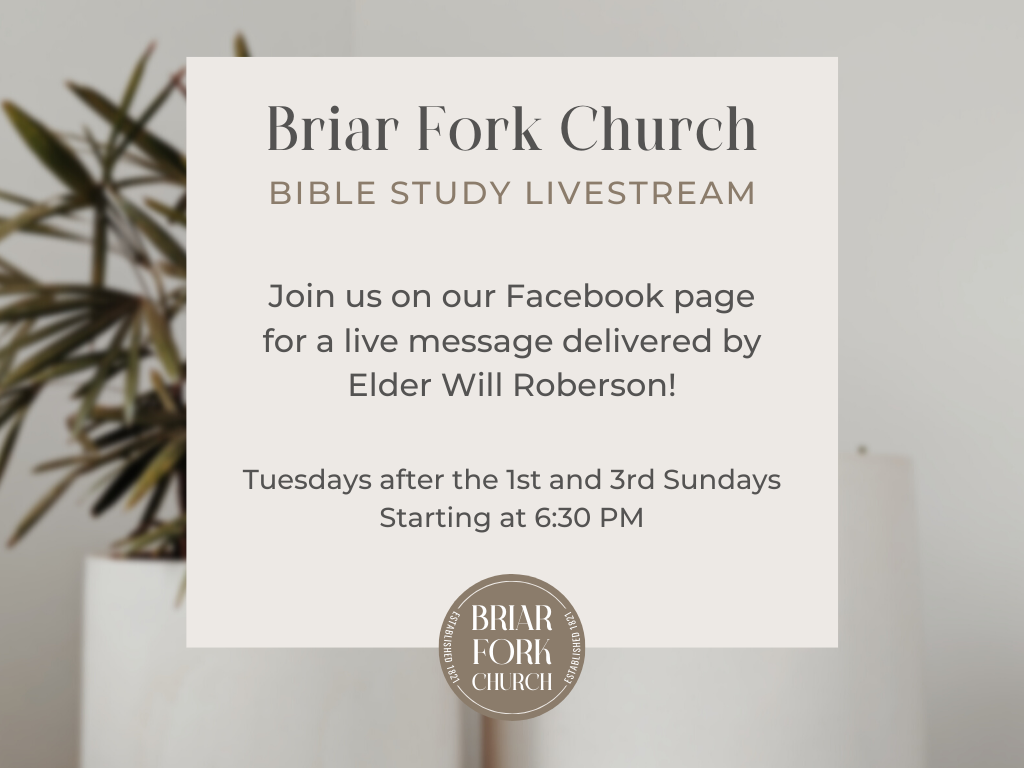 Bible Study Livestream
