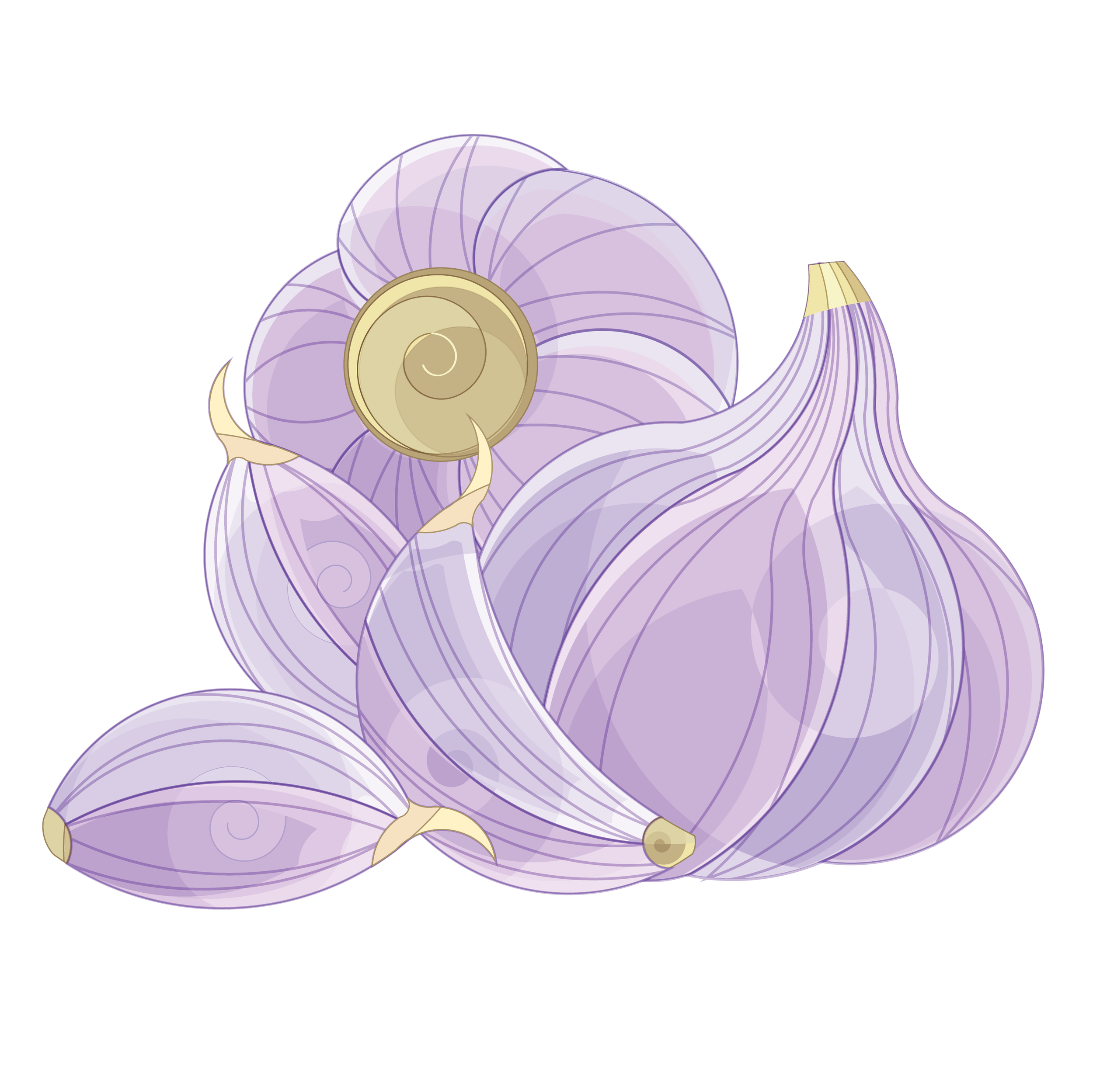Ingredients-02.png