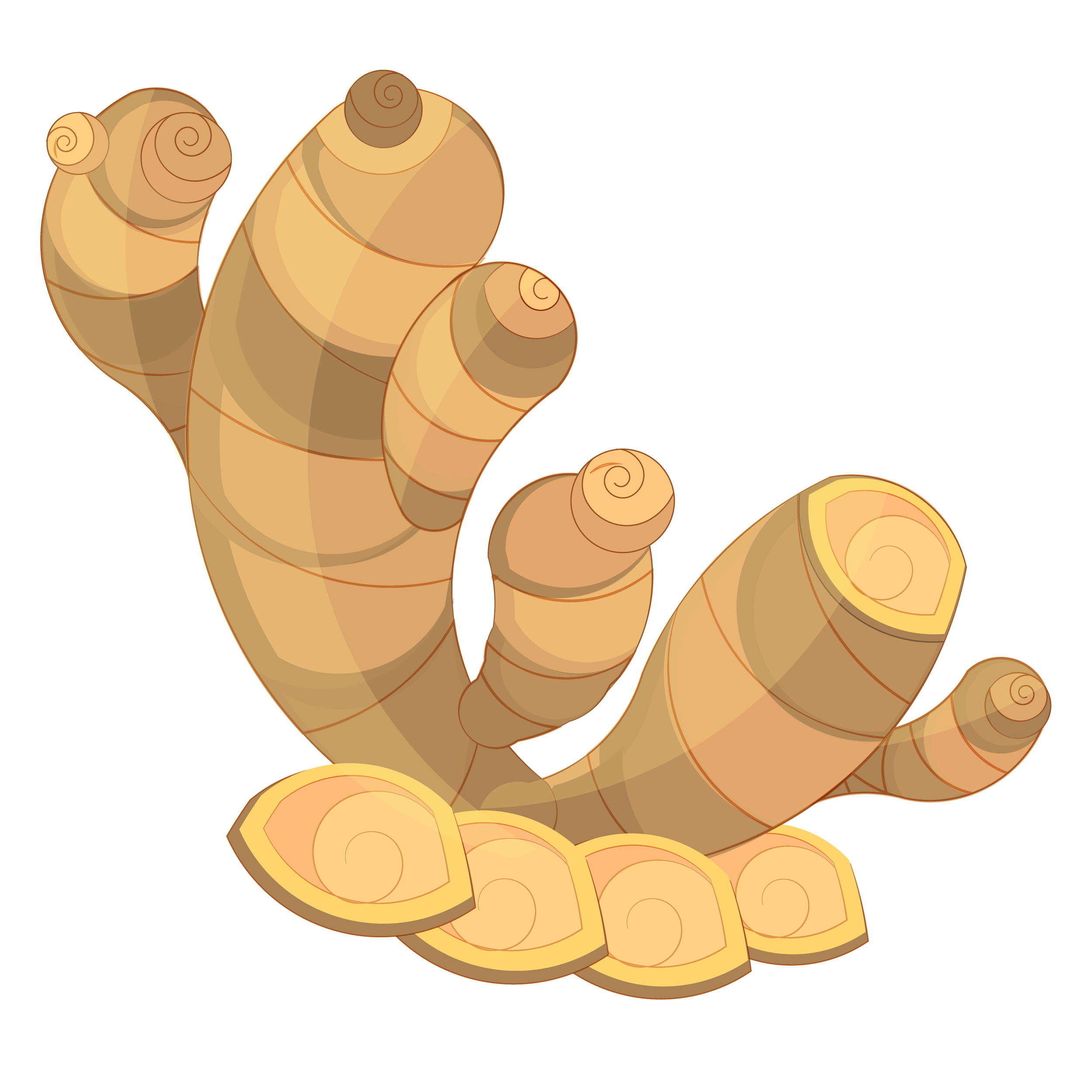 Ingredients-03.png