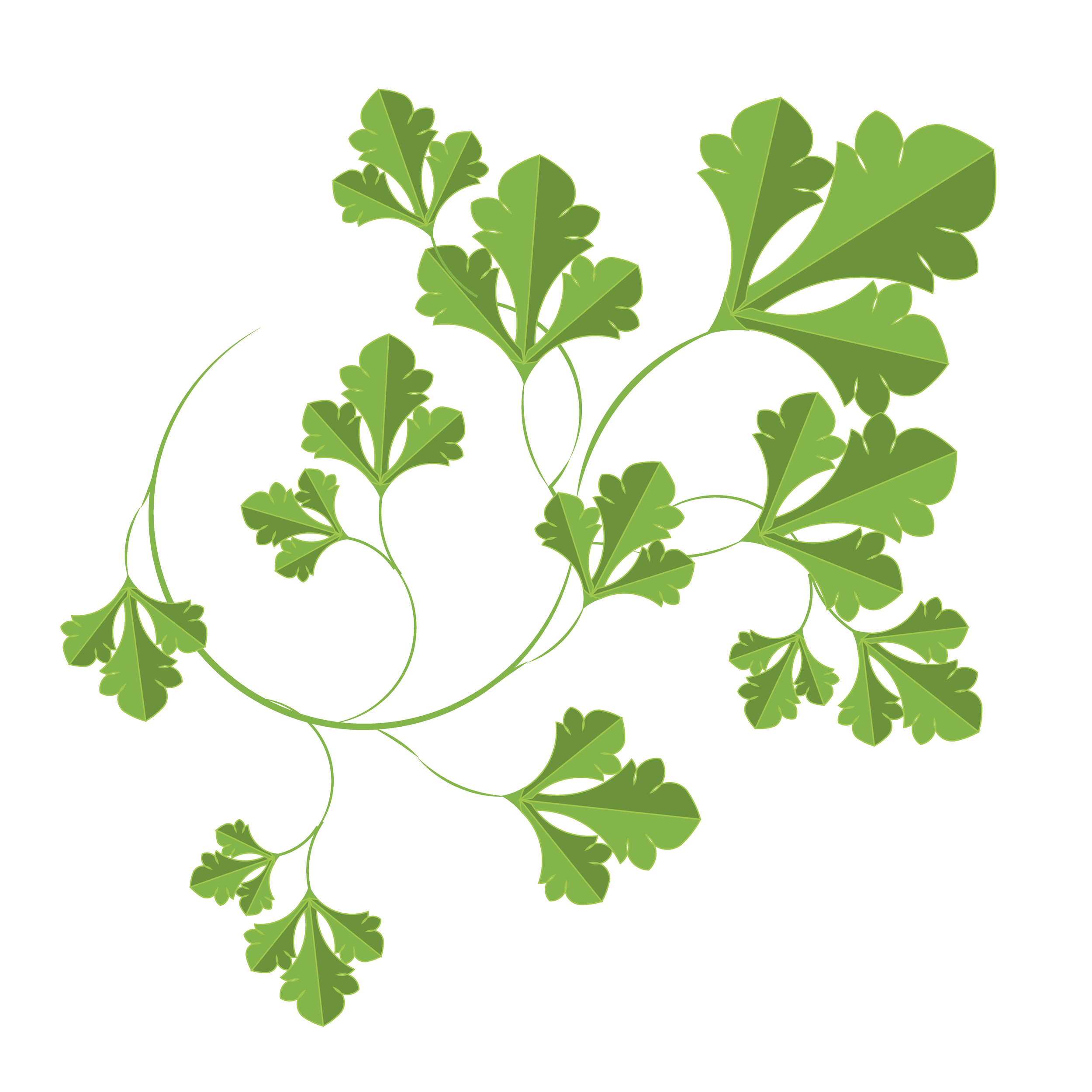 Ingredients-04.png