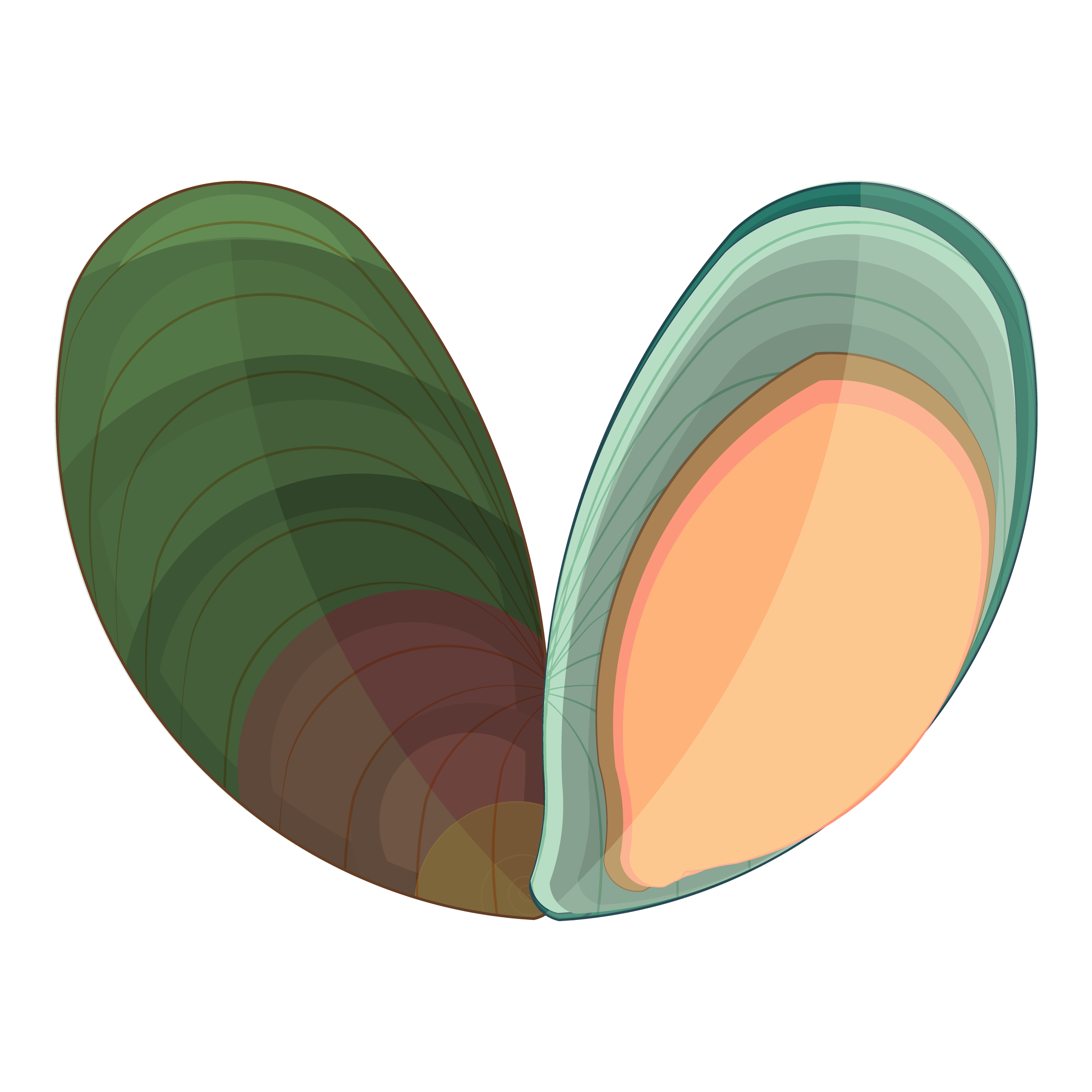 Ingredients-06.png