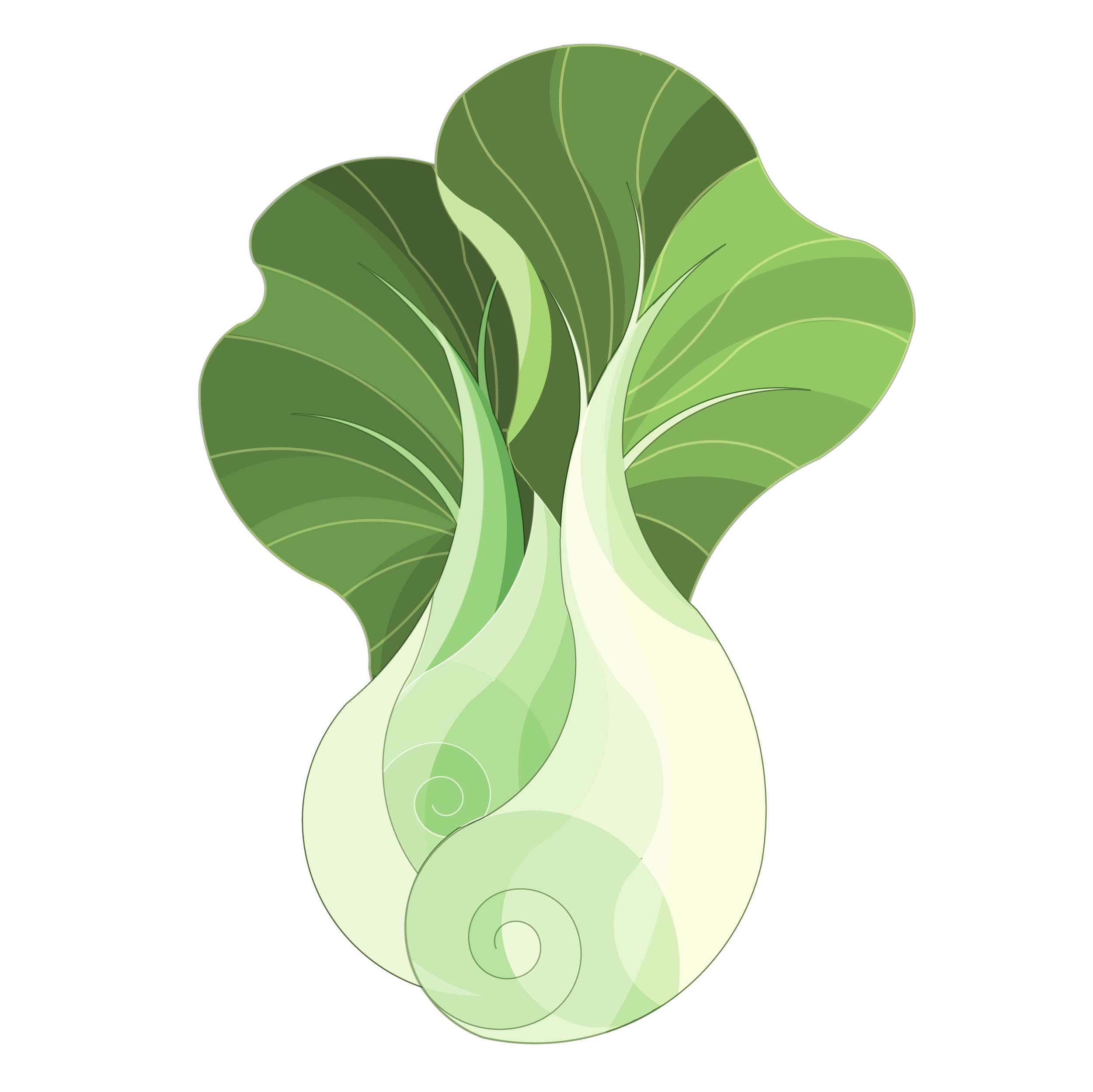 Ingredients-05.png