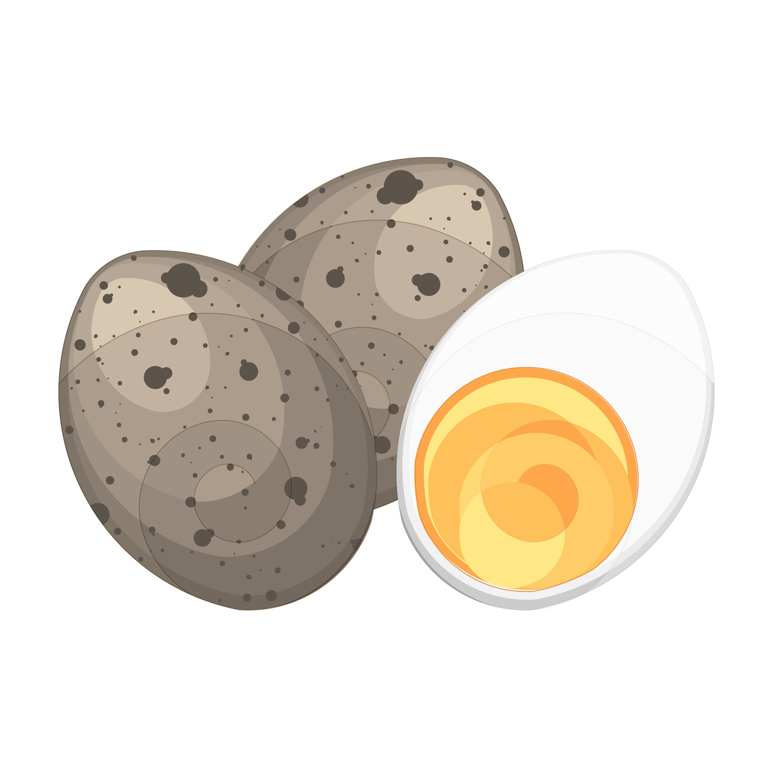 Quail Egg-01.png