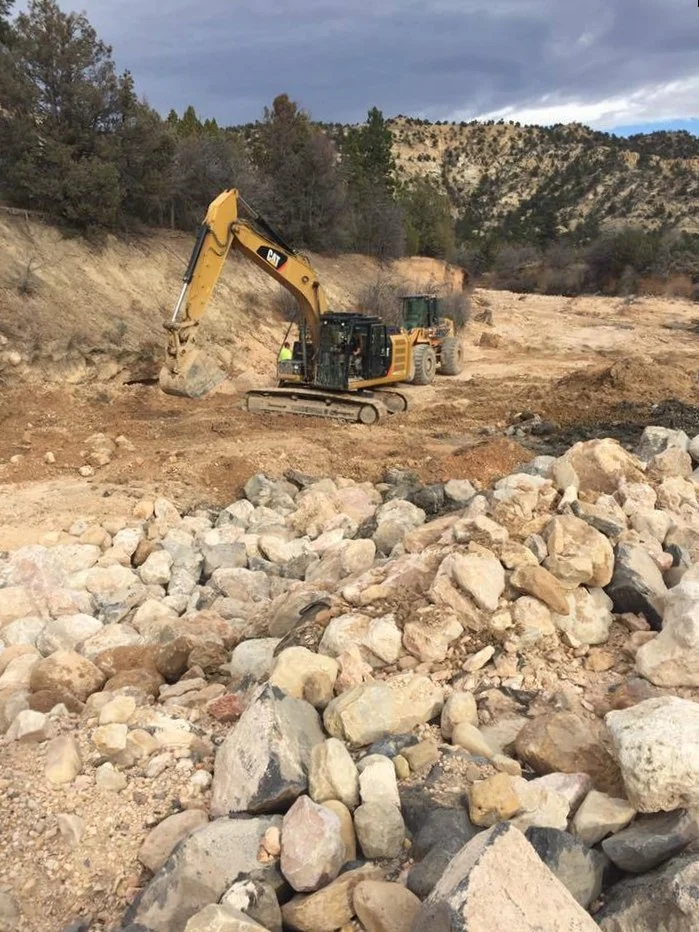 Dr. Goode Spring Development 2016 p.jpg