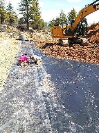 Dr. Goode Spring Development f.jpg