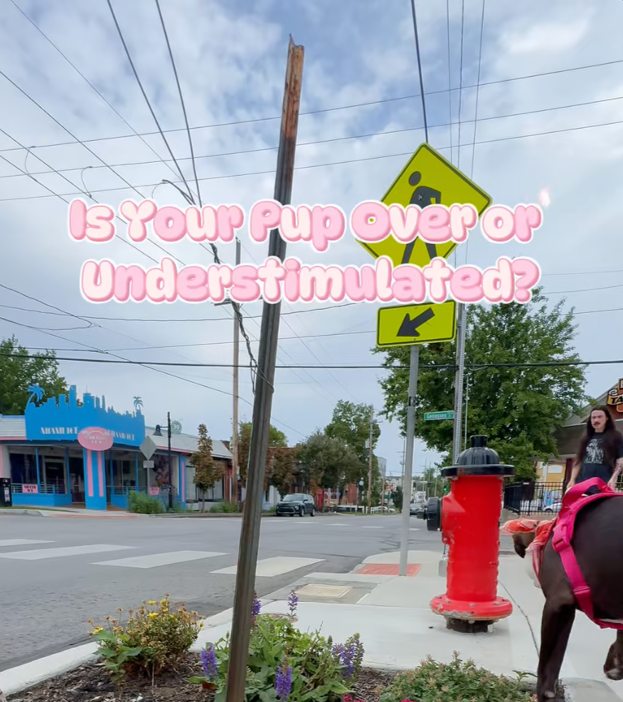 Screenshot 2025-12-08 at 11.44.21 AM.png