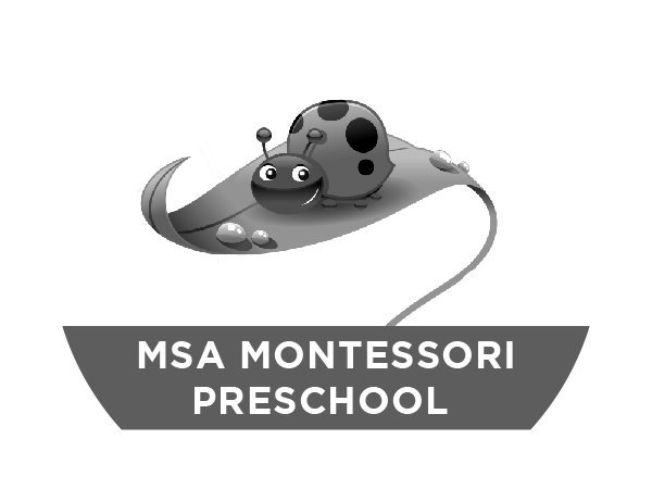 msa montessori.jpg