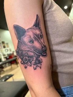IMG_3943.jpeg
