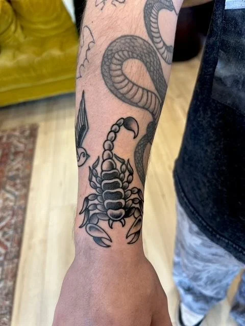 scorpion.jpg
