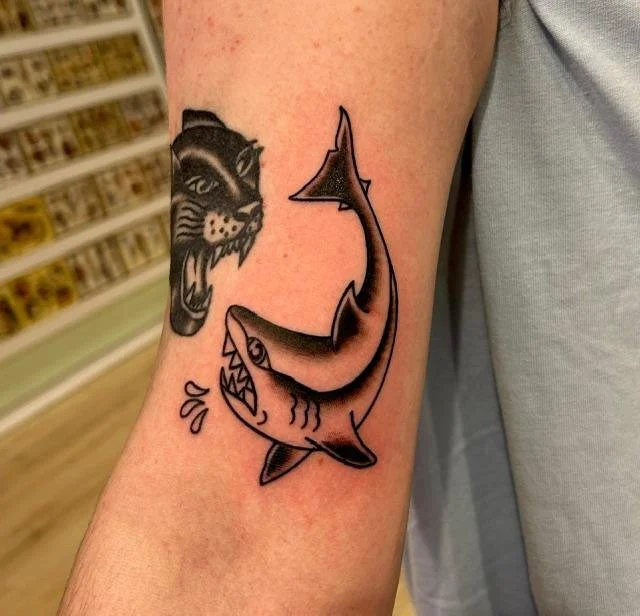 shark.jpg