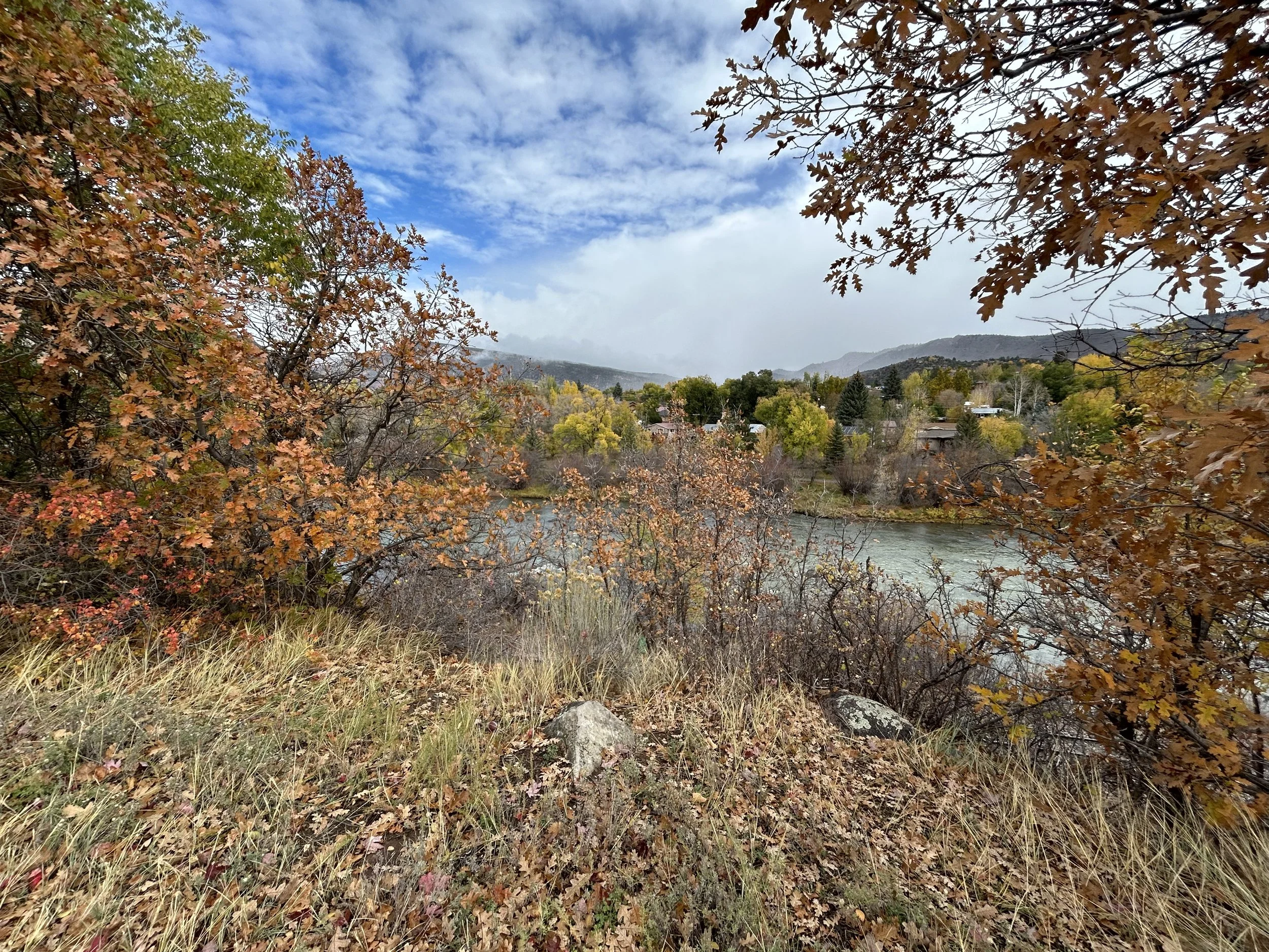Scenic autumn landscape with trees in fall colors, a river, houses in the distance, mountains, and partly cloudy blue sky.