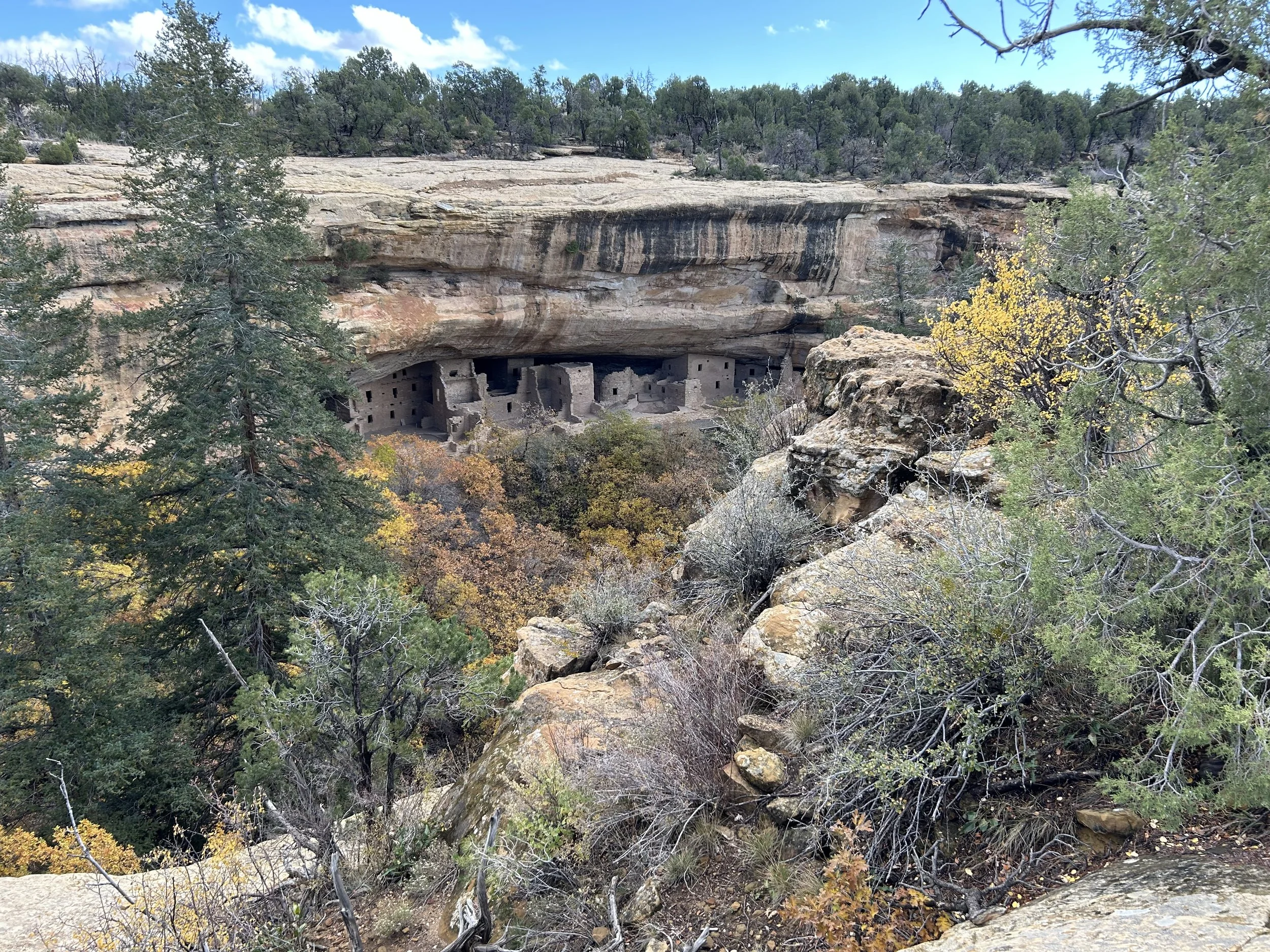 Cliffside view of a rocky overhang with ancient cliff dwellings visible beneath it, surrounded by trees with fall foliage and a blue sky with scattered clouds.
