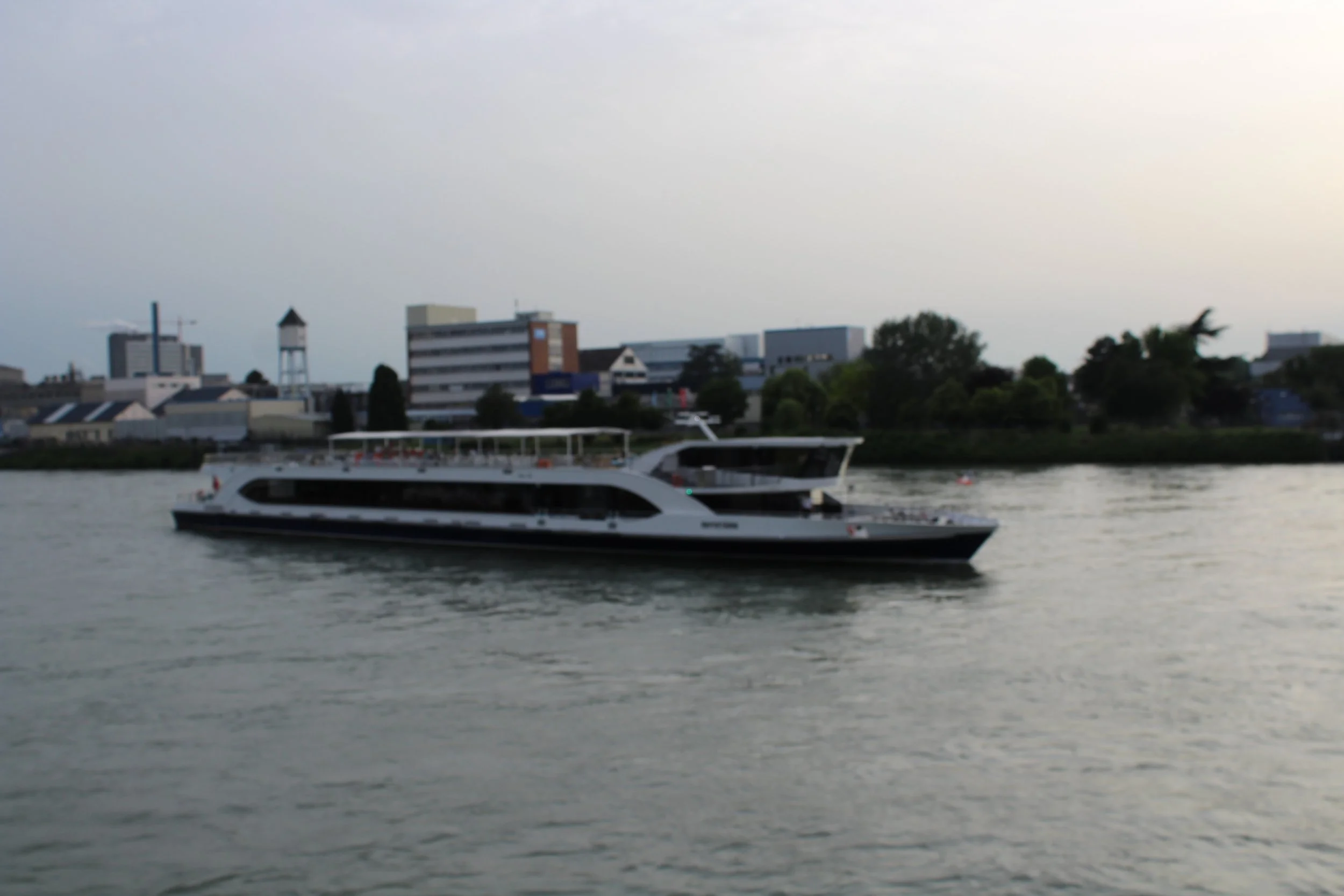 IMG_2954.JPG