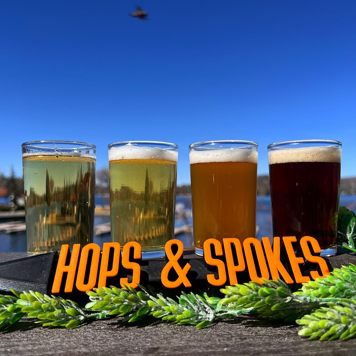 🍻 Have you all been enjoying our #TapTakeover of the month, with @hopsandspokesbrewingcompany?! Which one is your favorite so far- the Hard Apple Cider, the Mexican Lager, the Blonde Ale or the Mild Brown Ale? 

🚲 Located in the heart of downtown Y