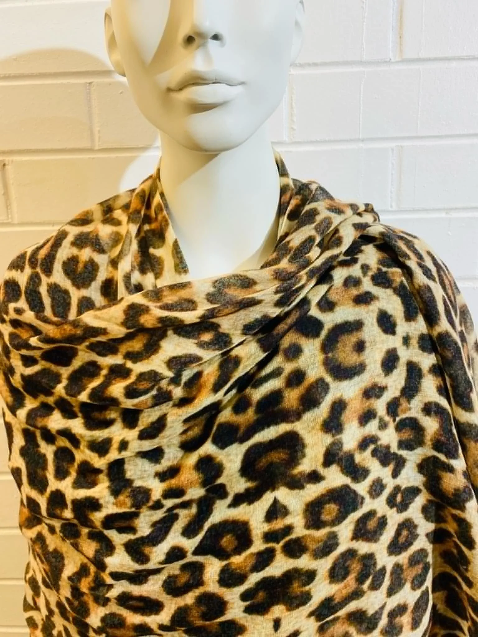 cheetah 2.jpg