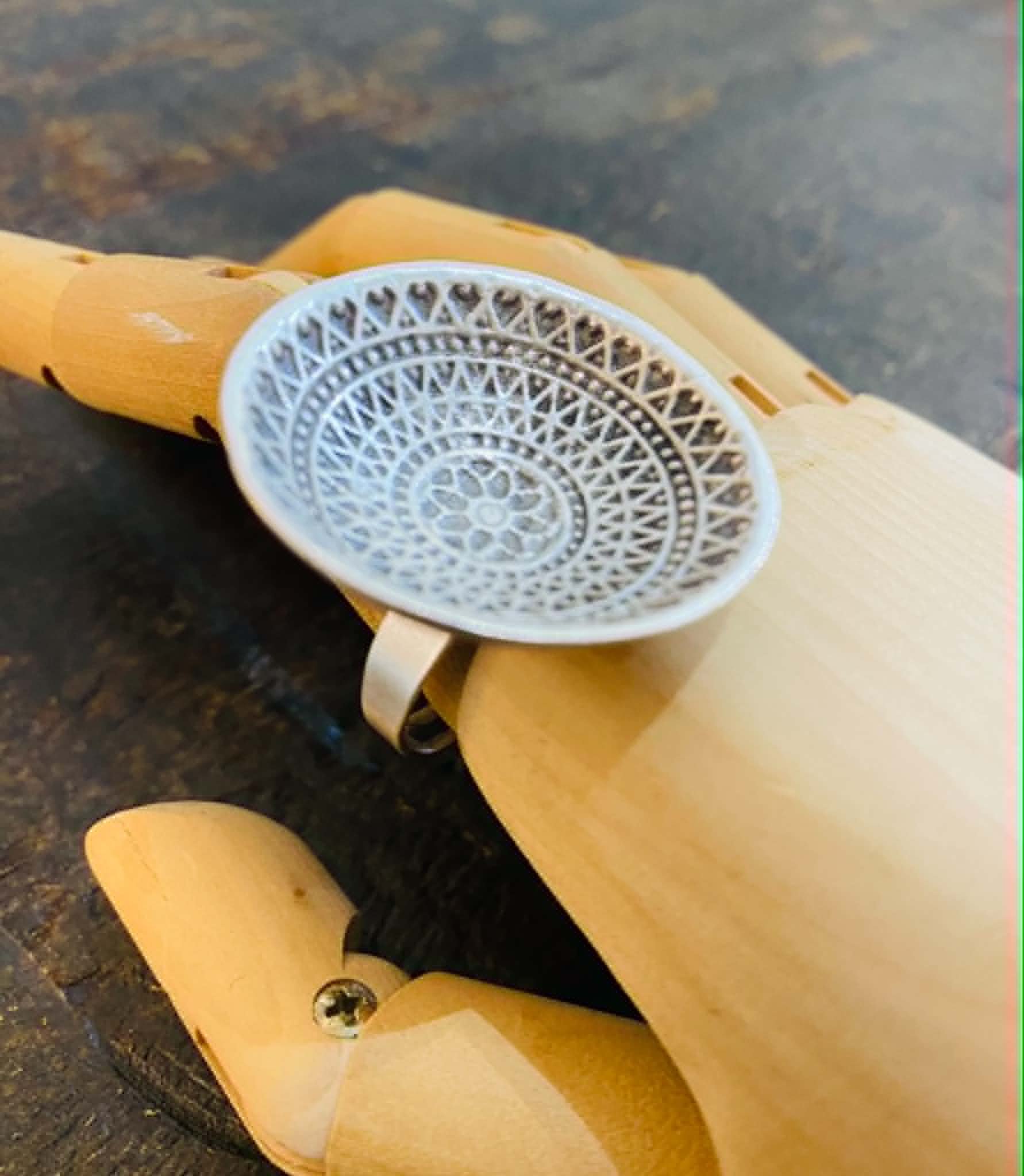 dish - zamik ring