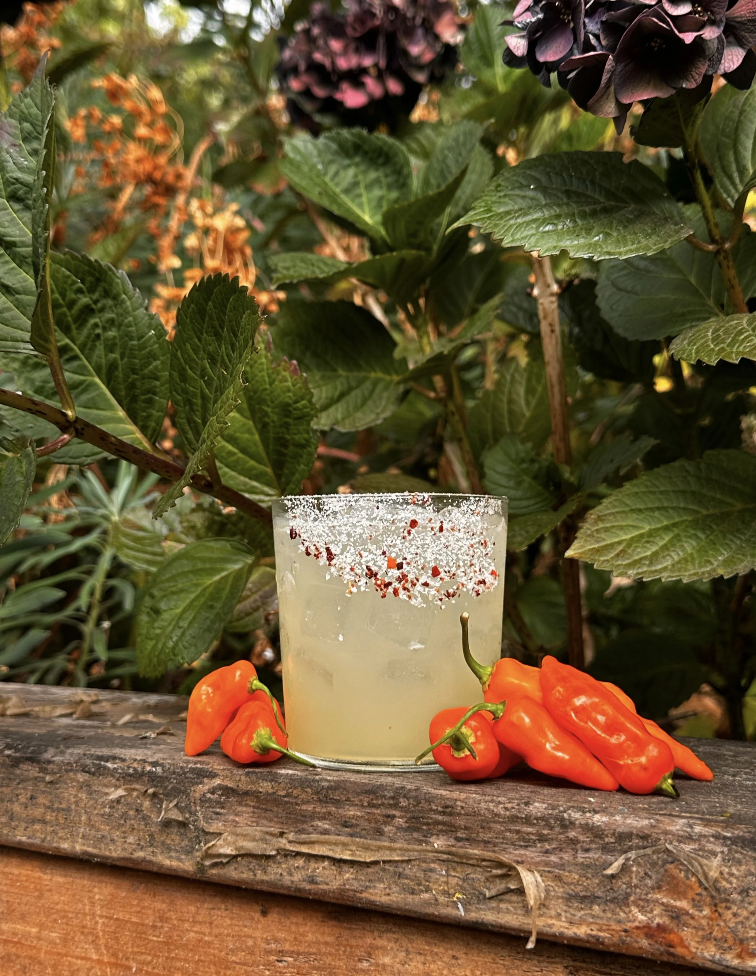 margarita.jpg