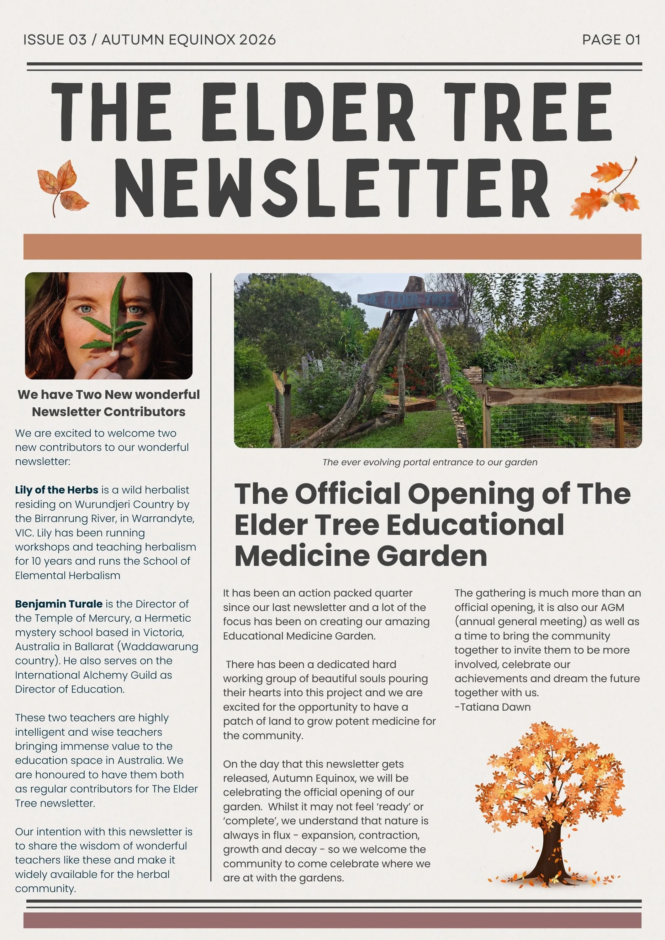 POSSIBLE ALT WORK IN PROGRESS.jpg