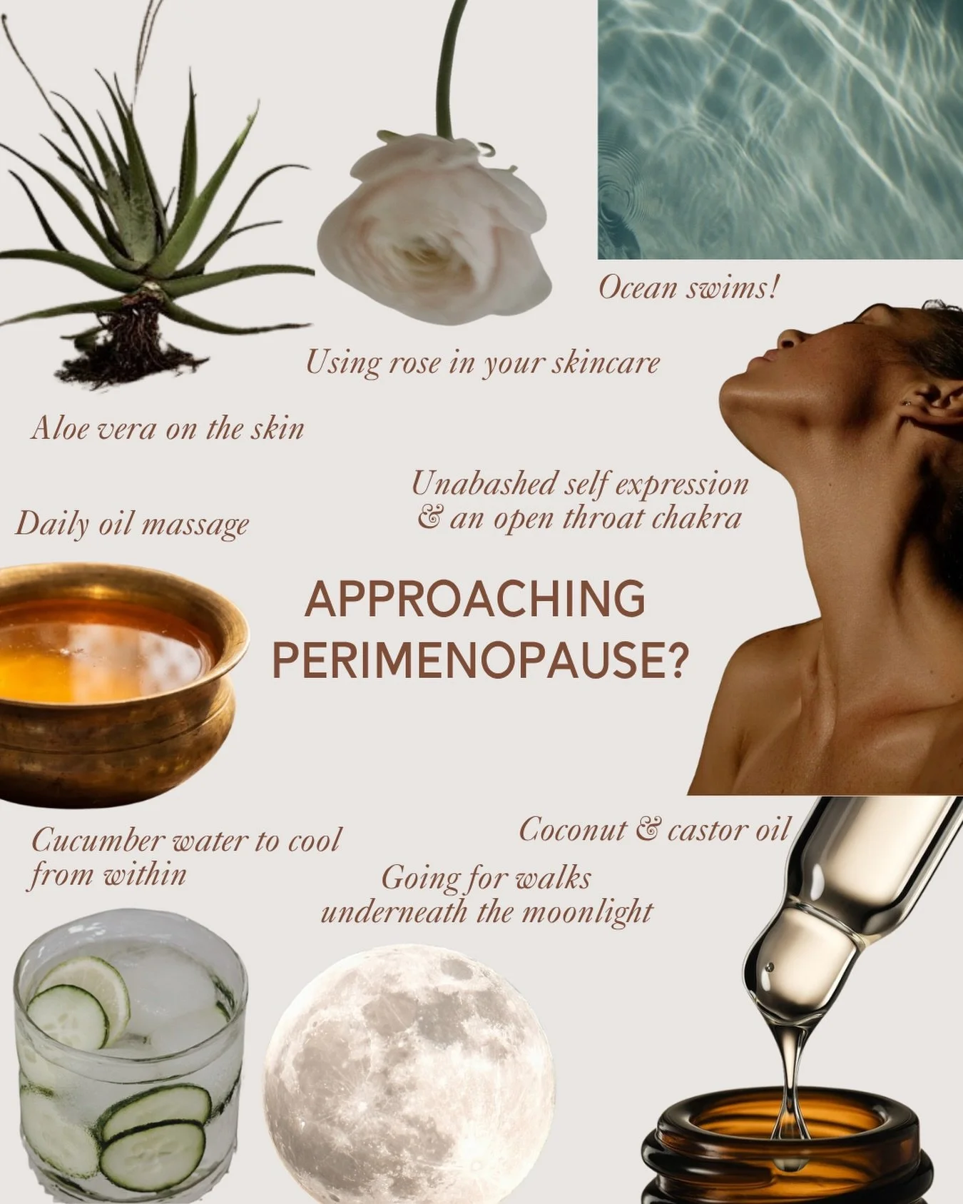 Approaching perimenopause with ancient wisdoms. 

The dance between pitta (heat) and vata (dry) energies begin in this season. From a skincare perspective; we need more cooling, calming and balancing the internal flame that can burn too bright and no