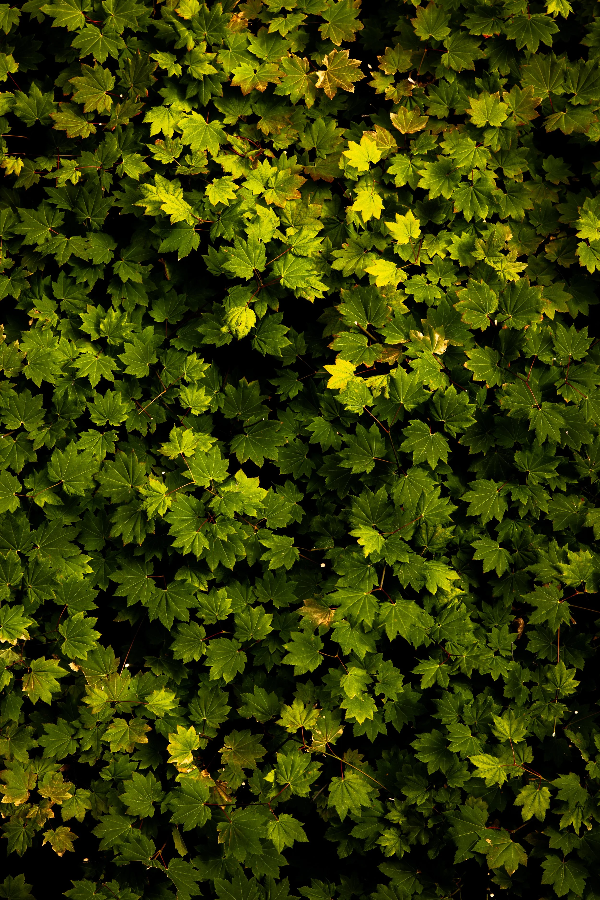 L2280297.jpg