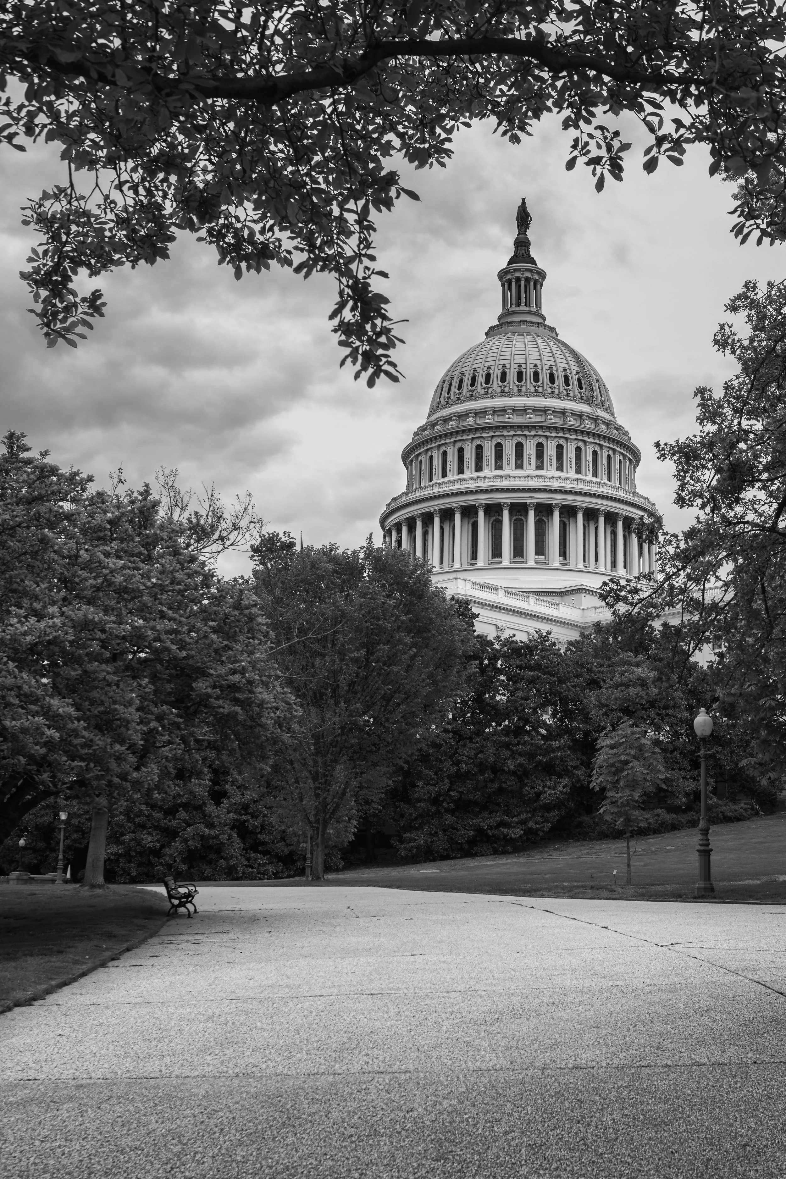 US Capitol 042320 034.jpg
