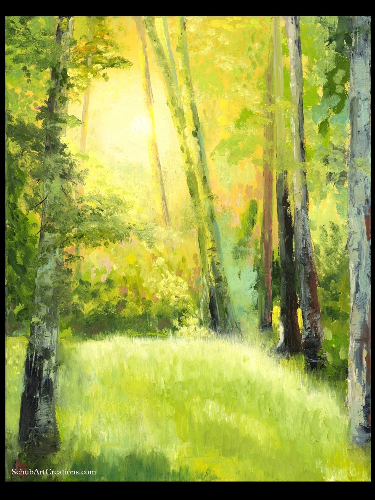 Spring+Sun+SCAN+website.jpg
