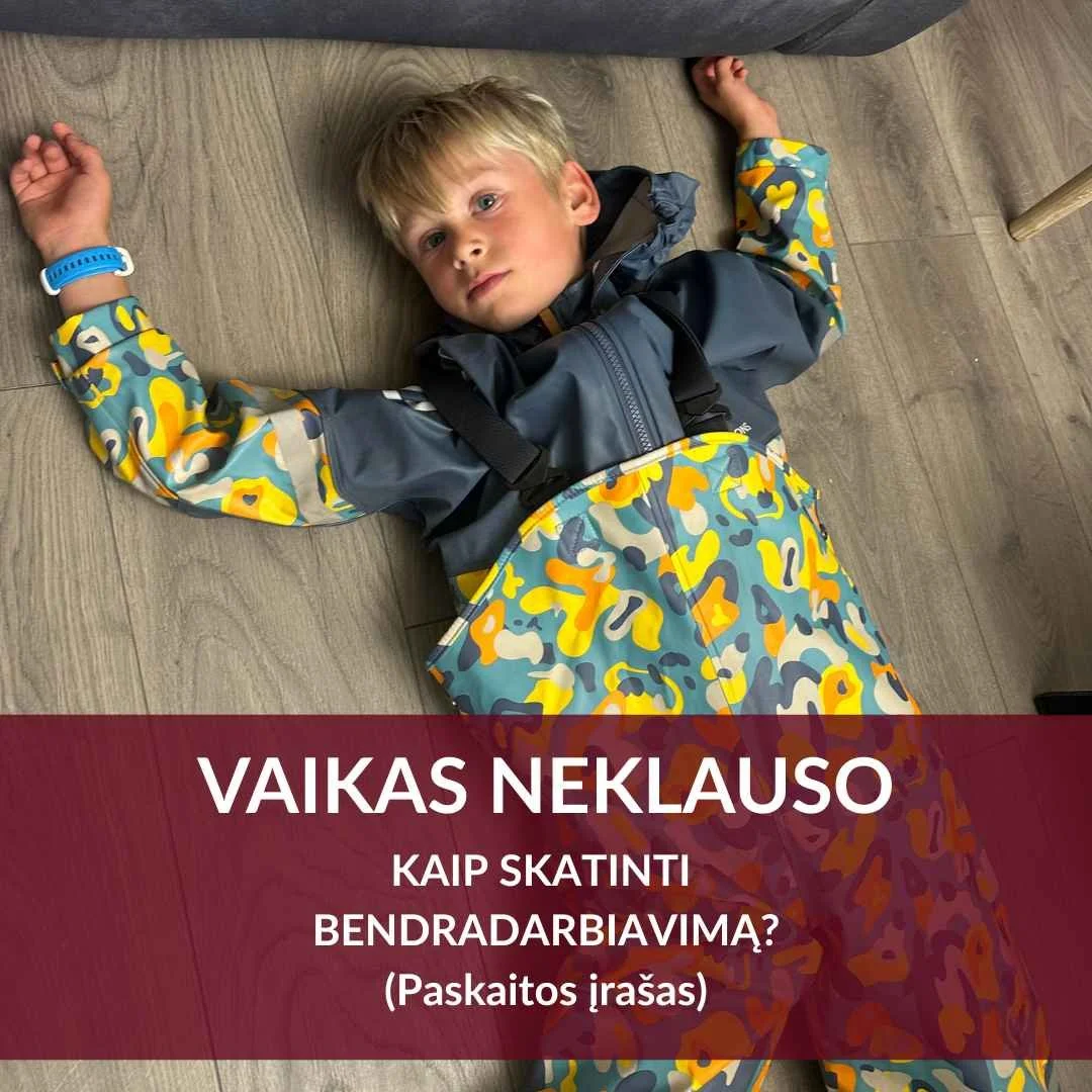 Vaikas neklauso: kaip skatinti bendradarbiavimą? (Įrašas)