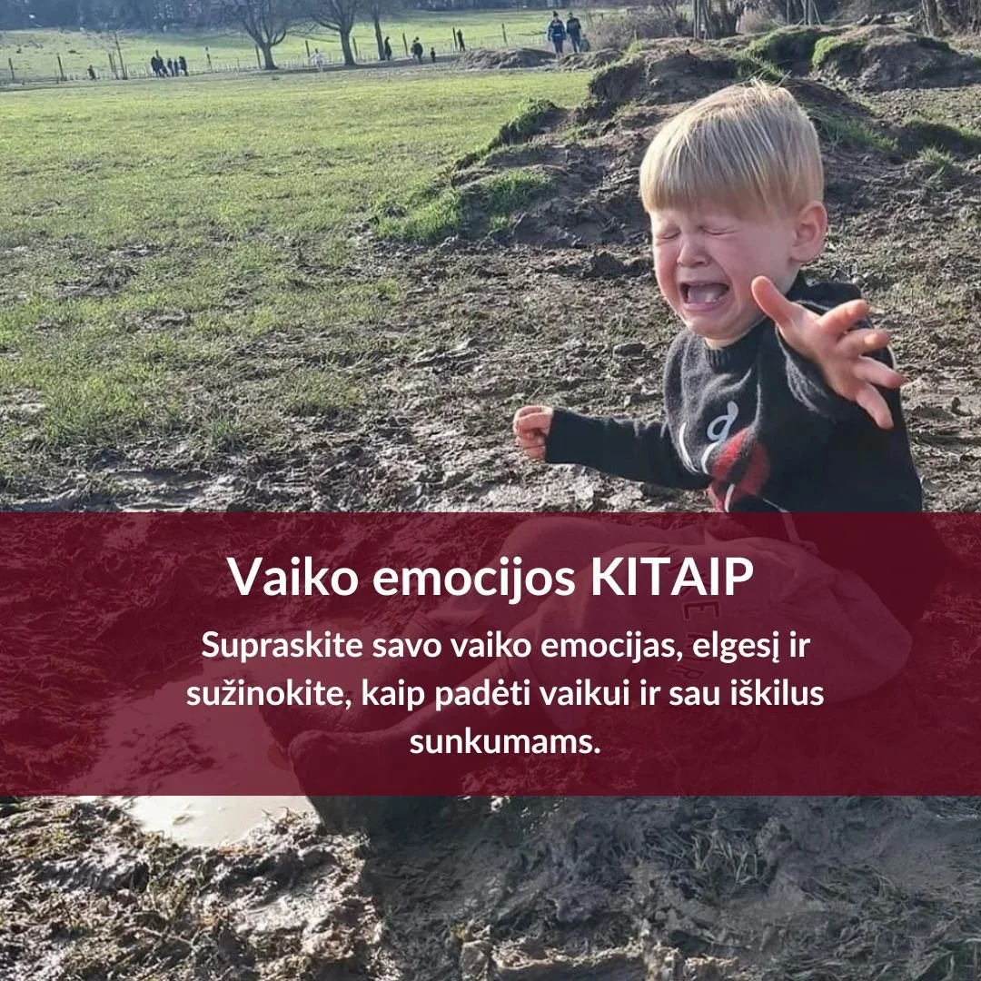 Vaiko elgesys ir emocijos KITAIP.