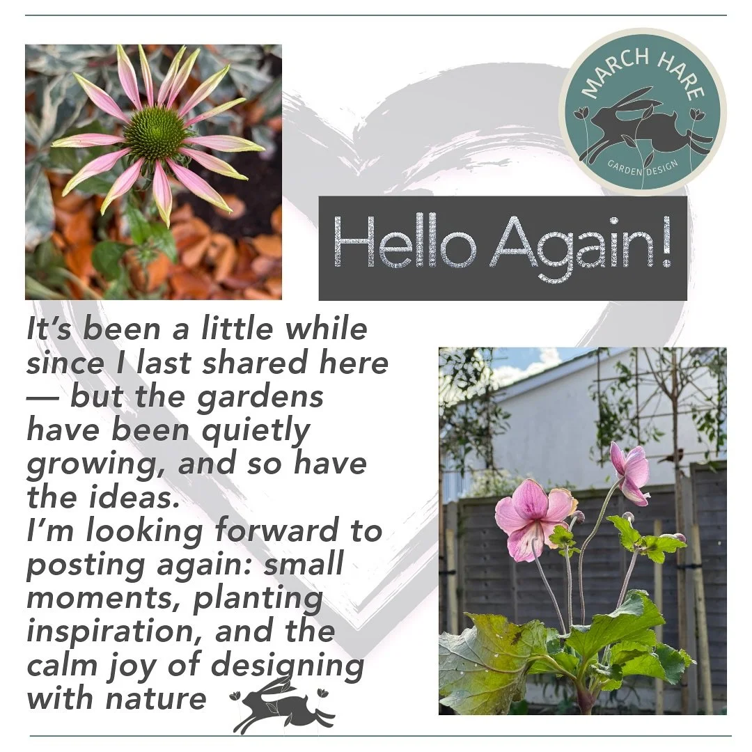 &ldquo;Back in the garden - where all good ideas grow!&rdquo;
#gardeninspiration 
#marchharegardendesign
#gardendesign 
#garden 
#gardening 
#nature 
#berkhamsted 
#followthehare
#landscapedesign#flowersofinstagram #gardendesigner 
#outdoorliving
#sm