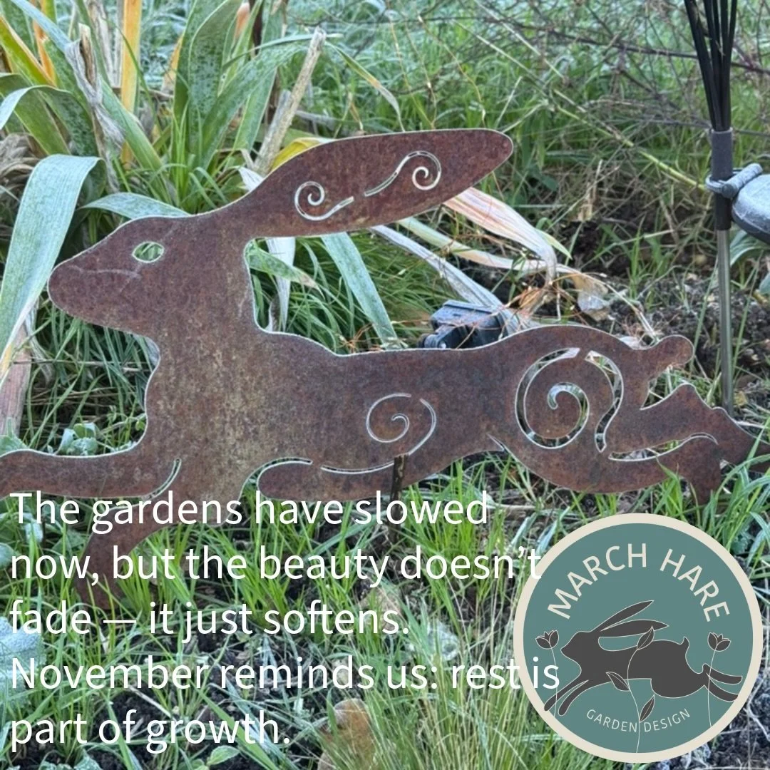 Have you remembered to fleece your tender garden beauties? Definitely a job for the weekend if not&hellip;. 🥶
#marchharegardendesign
#gardendesign 
#garden 
#gardening 
#nature 
#berkhamsted 
#followthehare
#landscapedesign#flowersofinstagram #garde