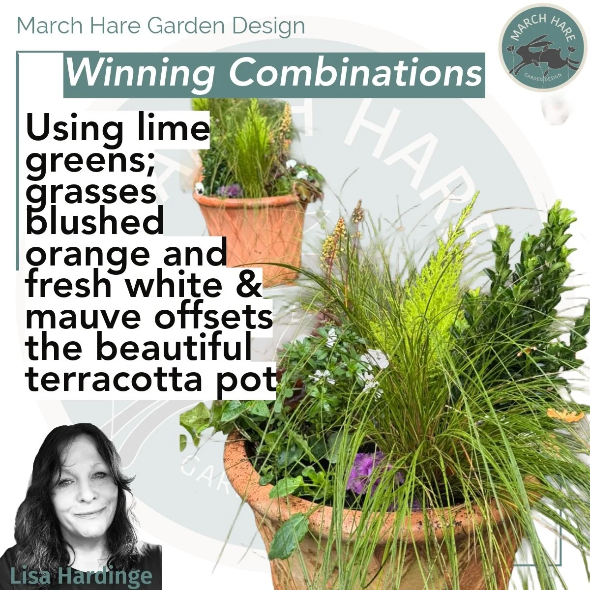 Textures tell the story - here the colours accentuate the texture of terracotta 
Every material is chosen to work cohesively and compliment the garden 🪴 
#marchharegardendesign
#gardendesign 
#garden 
#gardening 
#nature 
#berkhamsted 
#followthehar