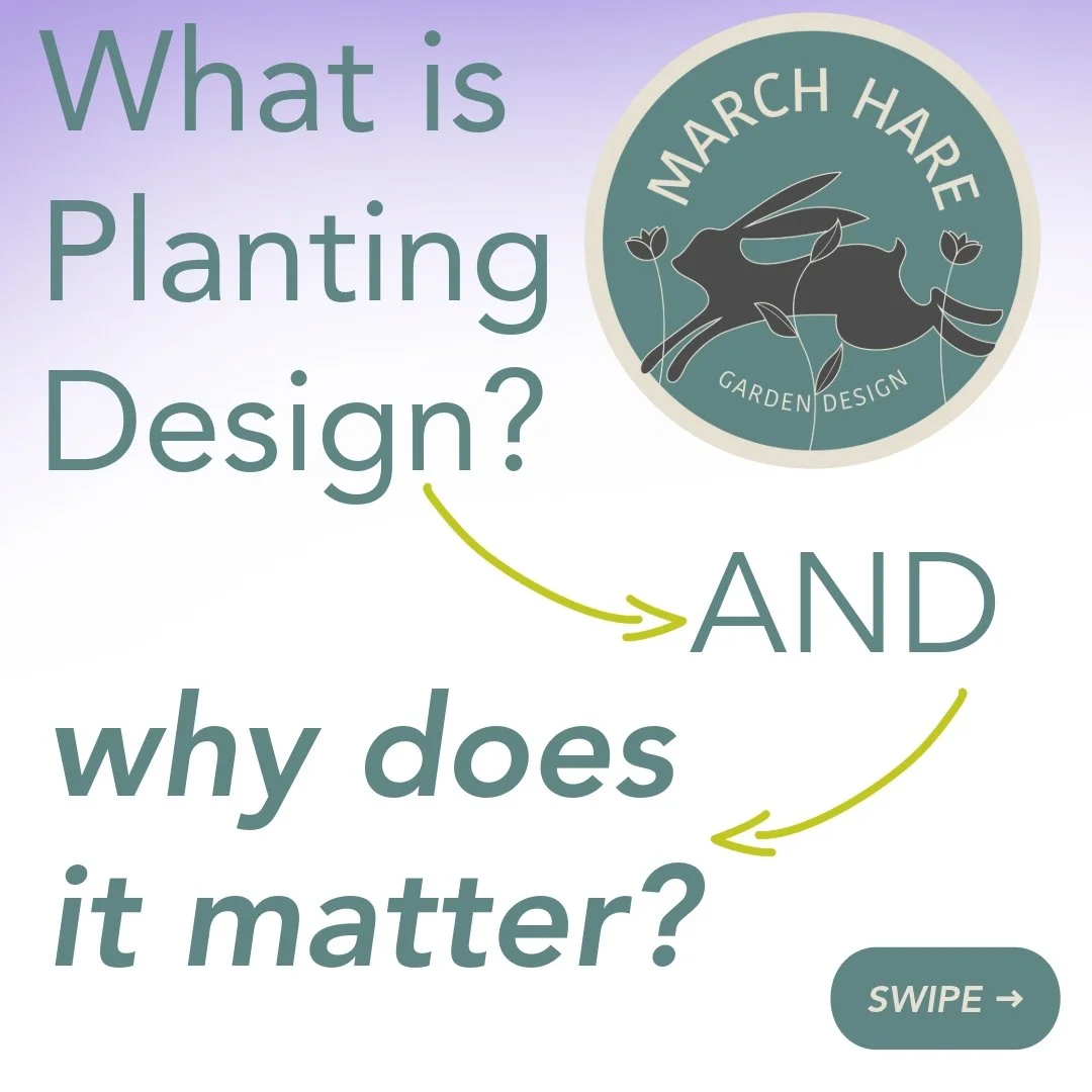What is planting design?
It&rsquo;s one of the most transformative parts of any garden, yet the bit many people feel most unsure about.
This week I&rsquo;m sharing a little behind-the-scenes look at how I create bespoke planting schemes &mdash; from 