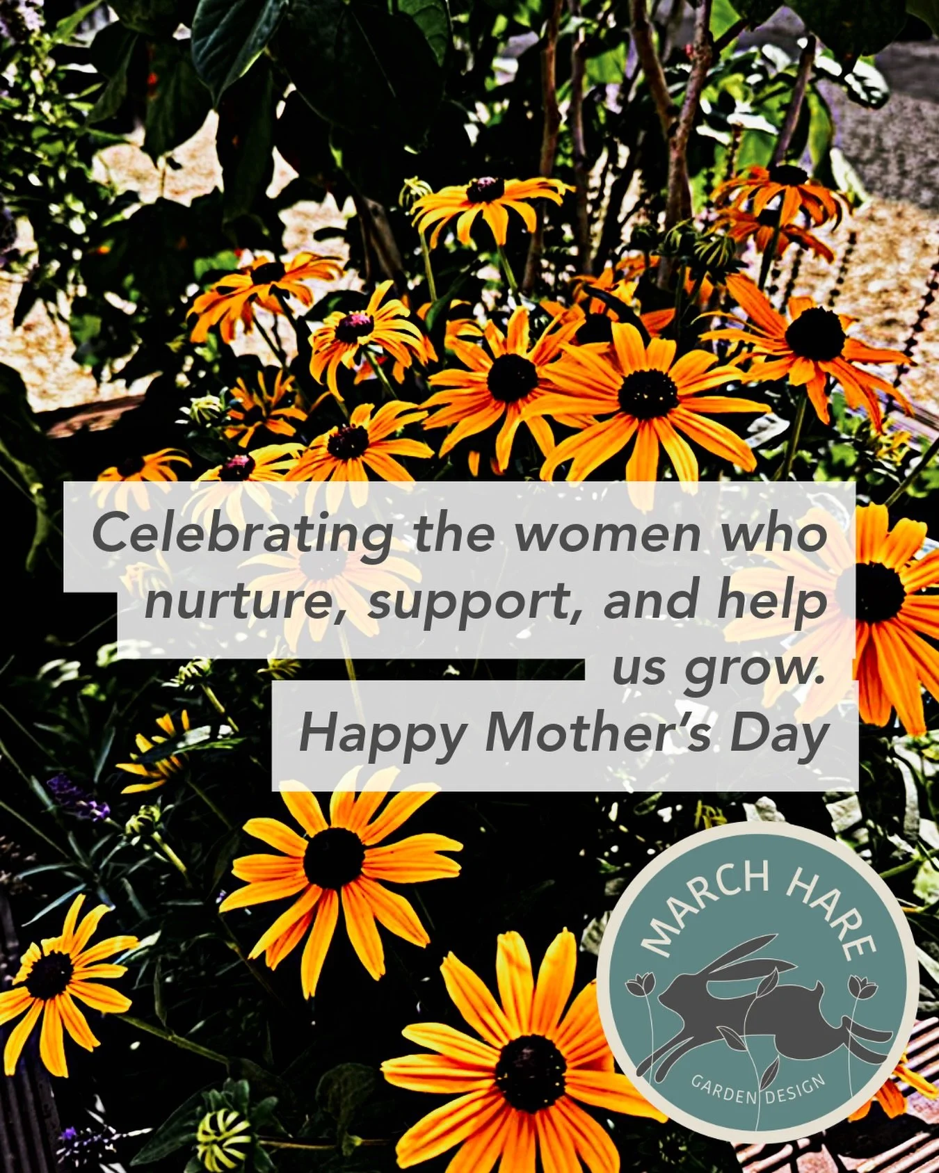 Wishing a lovely Mother&rsquo;s Day to all the brilliant mums, grandmothers, and mother figures who bring so much care into the world.
#gardendesigner #followthehare